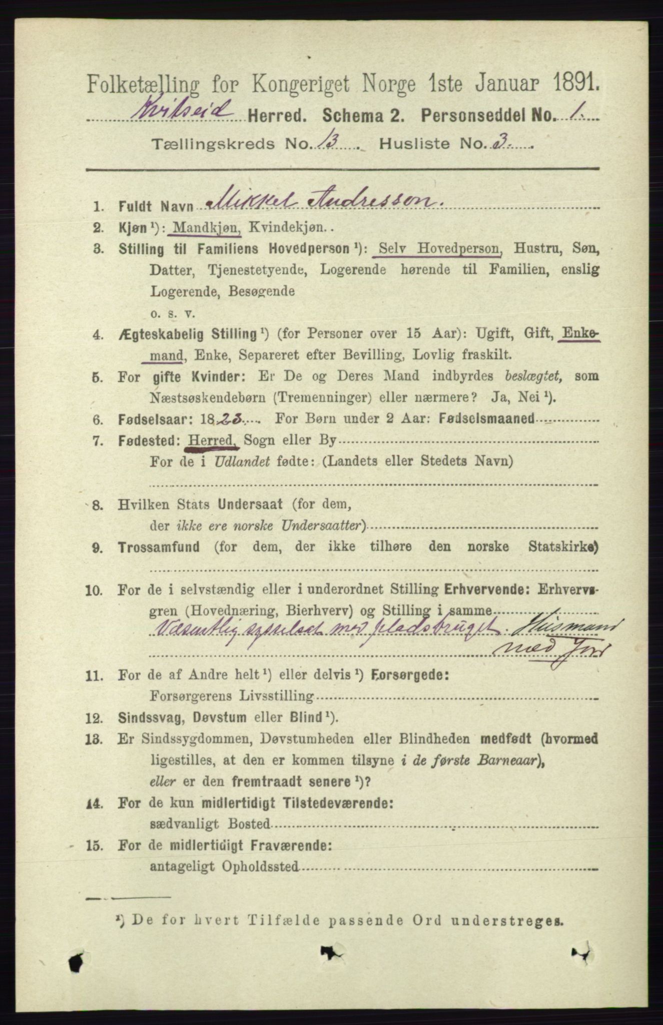 RA, 1891 census for 0829 Kviteseid, 1891, p. 3094