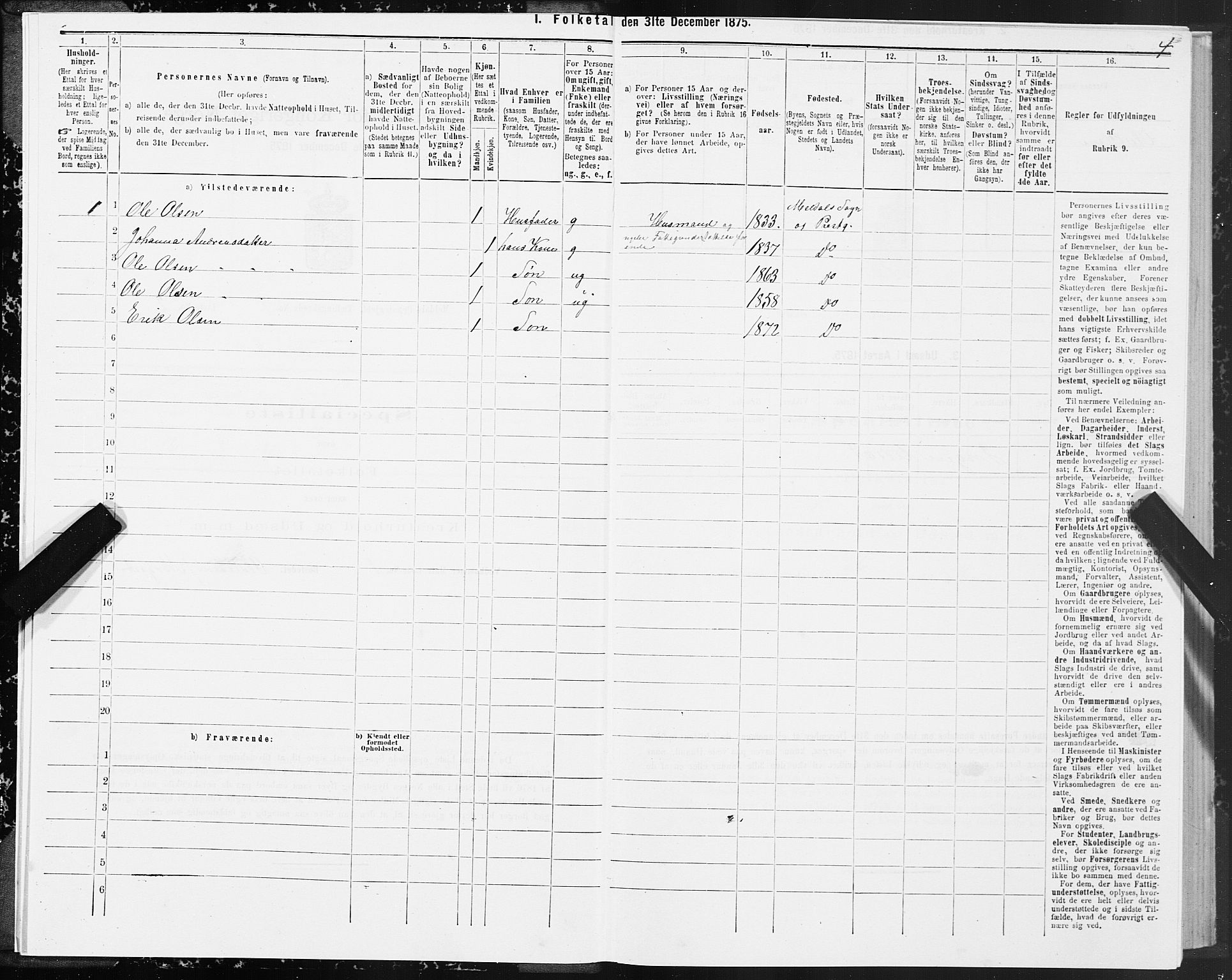 SAT, 1875 census for 1636P Meldal, 1875, p. 1004