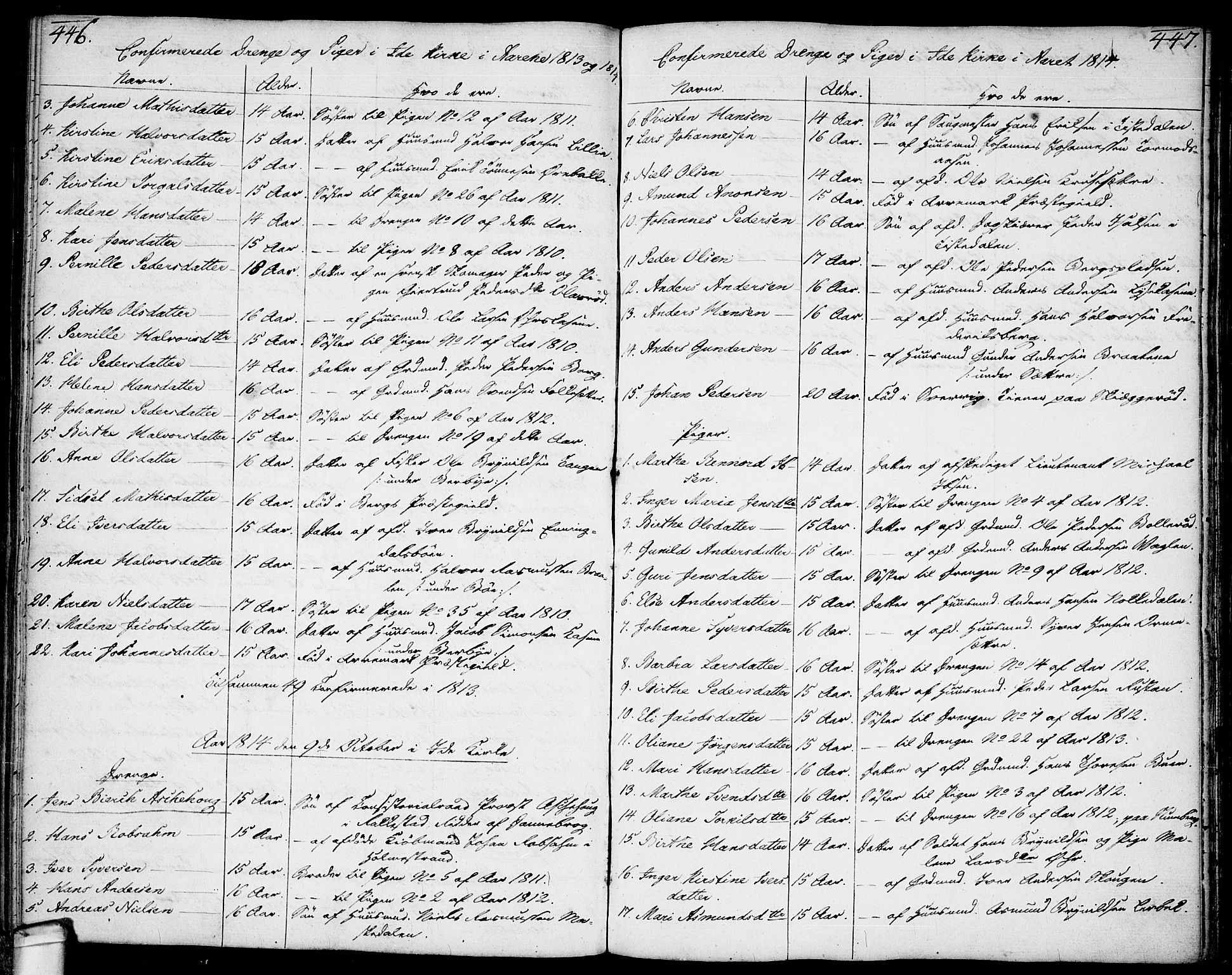 Idd prestekontor Kirkebøker, SAO/A-10911/F/Fc/L0001: Parish register (official) no. III 1, 1770-1814, p. 446-447