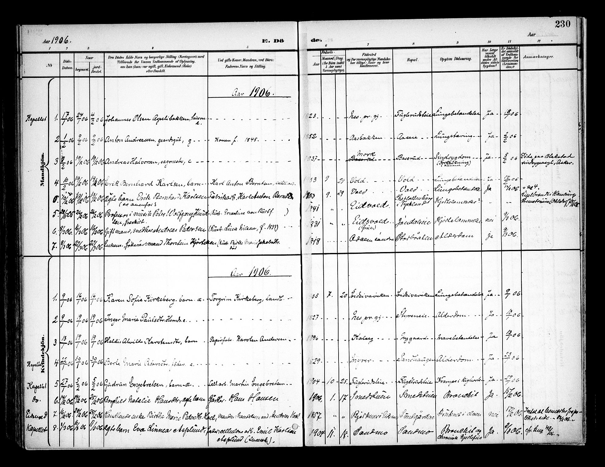 Eidsvoll prestekontor Kirkebøker, SAO/A-10888/F/Fa/L0006: Parish register (official) no. I 6, 1900-1907, p. 230
