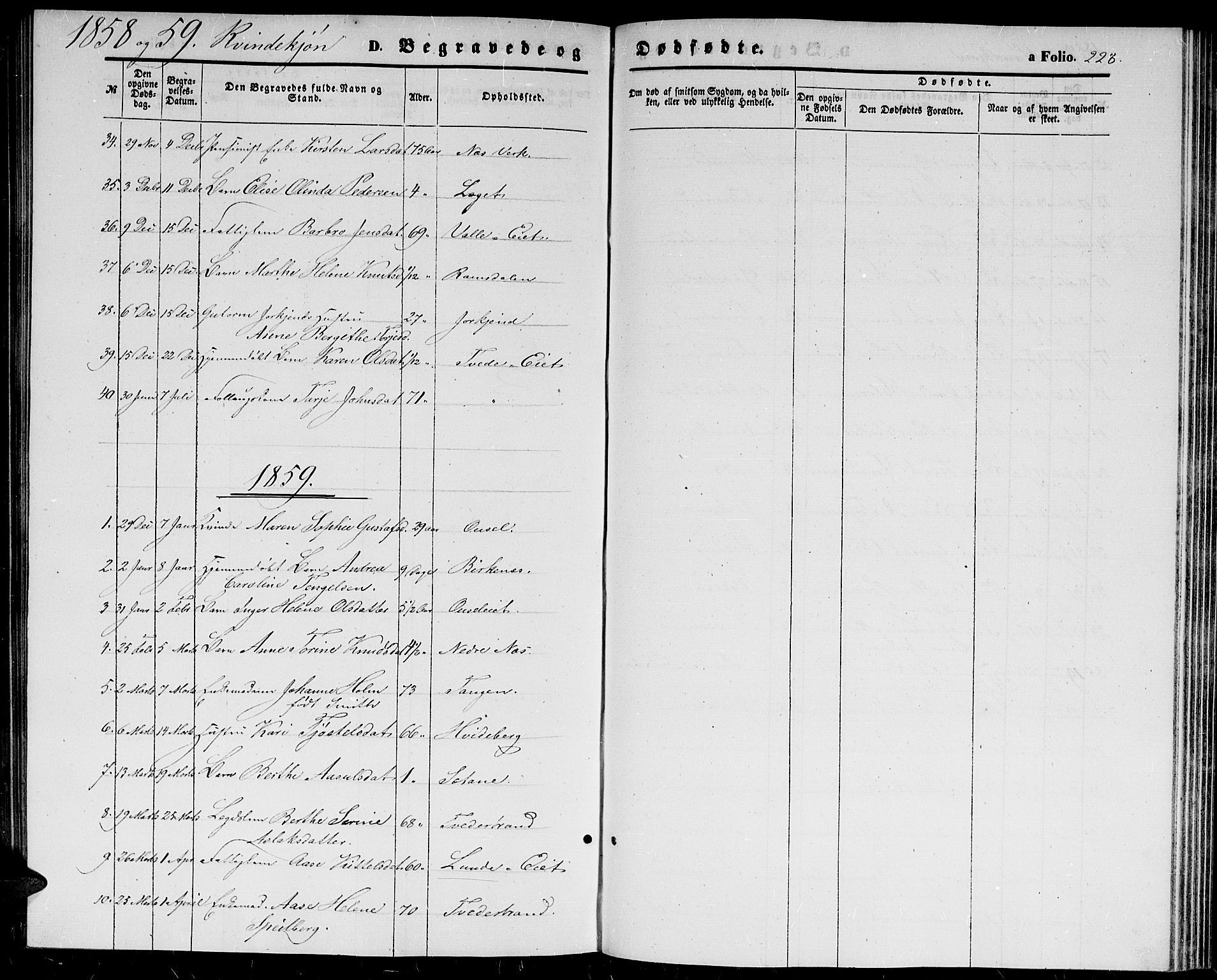 Holt sokneprestkontor, AV/SAK-1111-0021/F/Fb/L0008: Parish register (copy) no. B 8, 1858-1871, p. 228