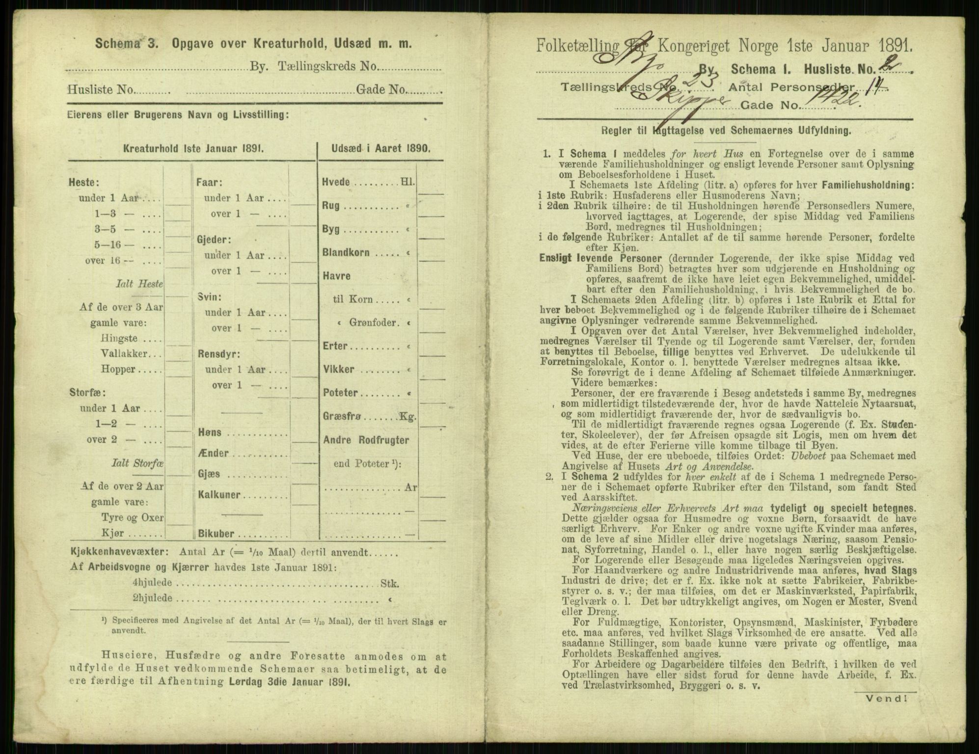 RA, 1891 census for 1103 Stavanger, 1891, p. 4375