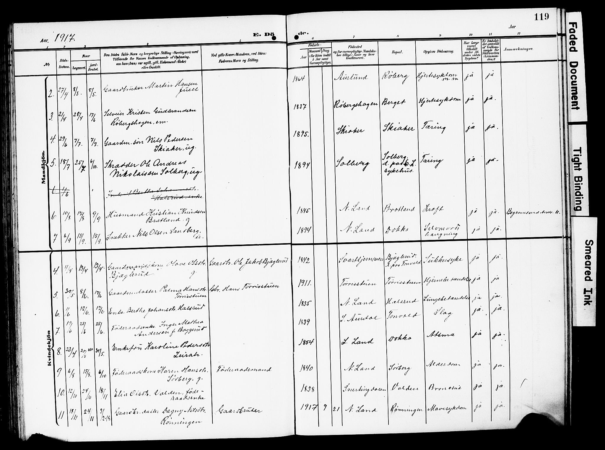 Nordre Land prestekontor, SAH/PREST-124/H/Ha/Hab/L0001: Parish register (copy) no. 1, 1908-1931, p. 119