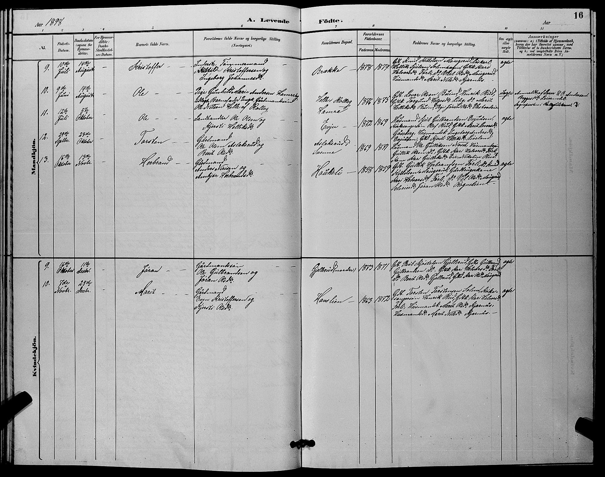 Flesberg kirkebøker, AV/SAKO-A-18/G/Ga/L0004: Parish register (copy) no. I 4 /1, 1890-1898, p. 16