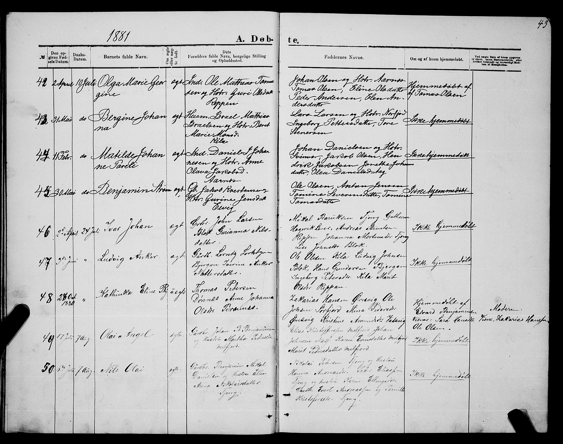 Ministerialprotokoller, klokkerbøker og fødselsregistre - Nordland, SAT/A-1459/841/L0620: Parish register (copy) no. 841C04, 1877-1896, p. 43