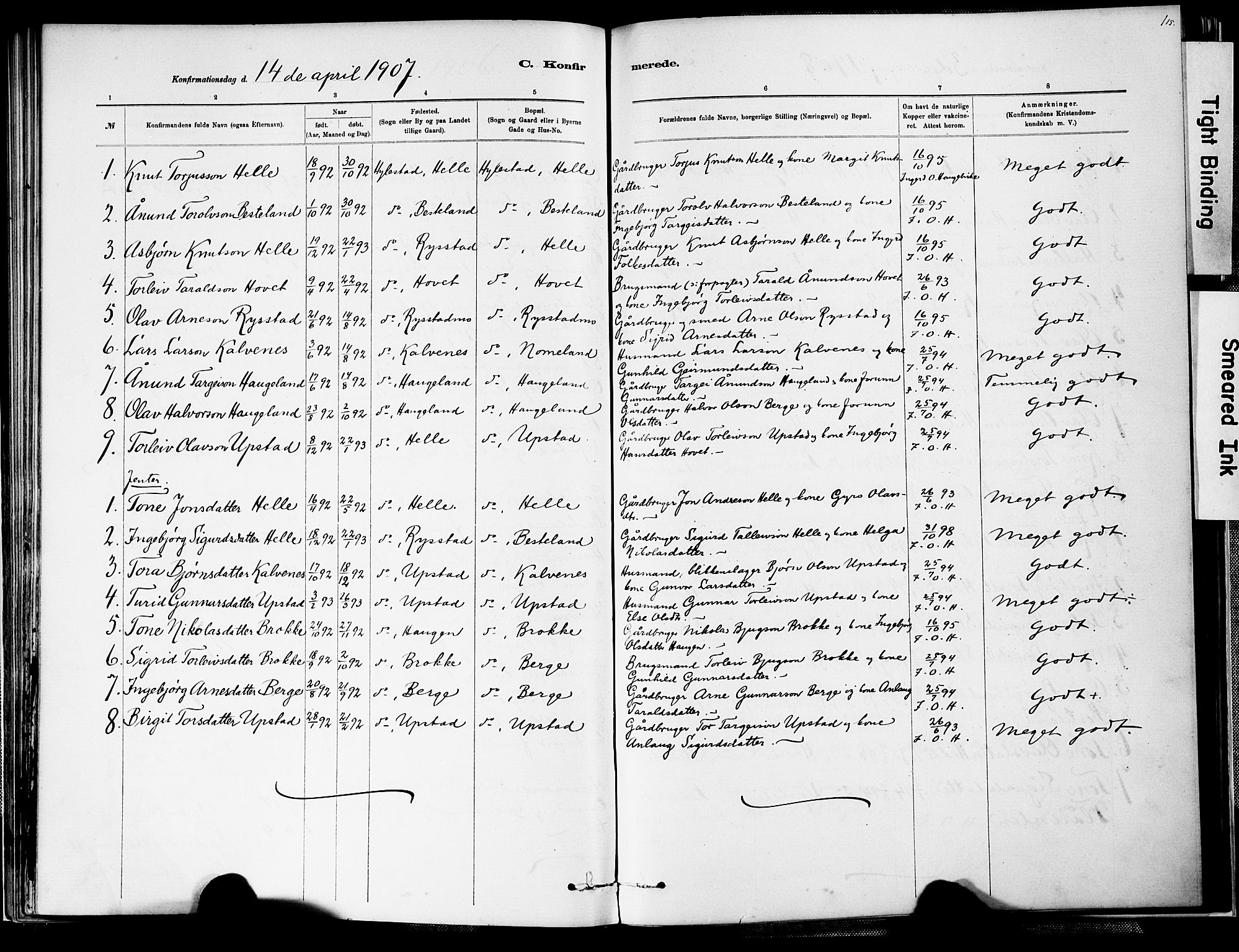 Valle sokneprestkontor, AV/SAK-1111-0044/F/Fa/Fab/L0001: Parish register (official) no. A 1, 1882-1910, p. 115