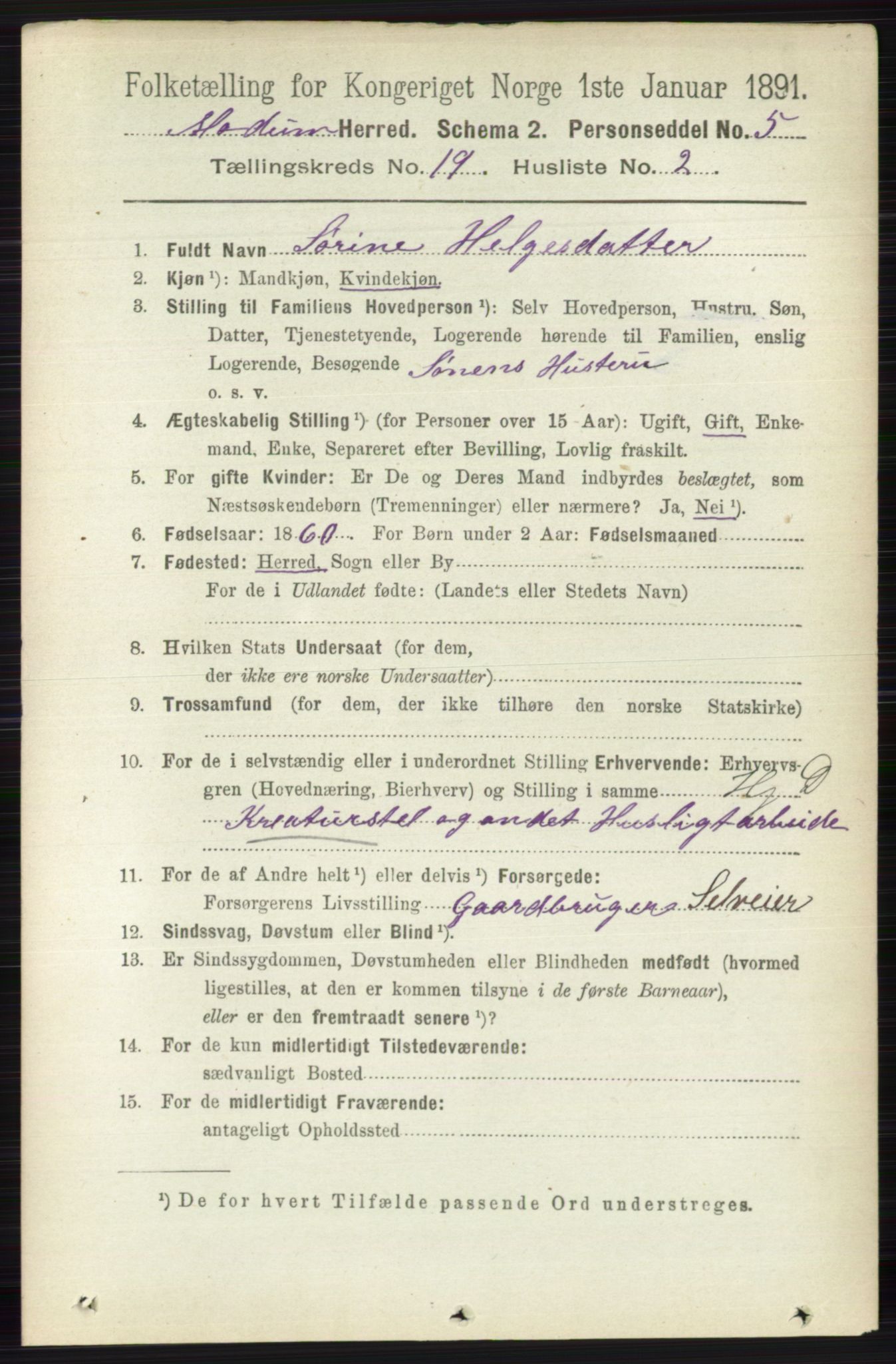 RA, 1891 census for 0623 Modum, 1891, p. 7620