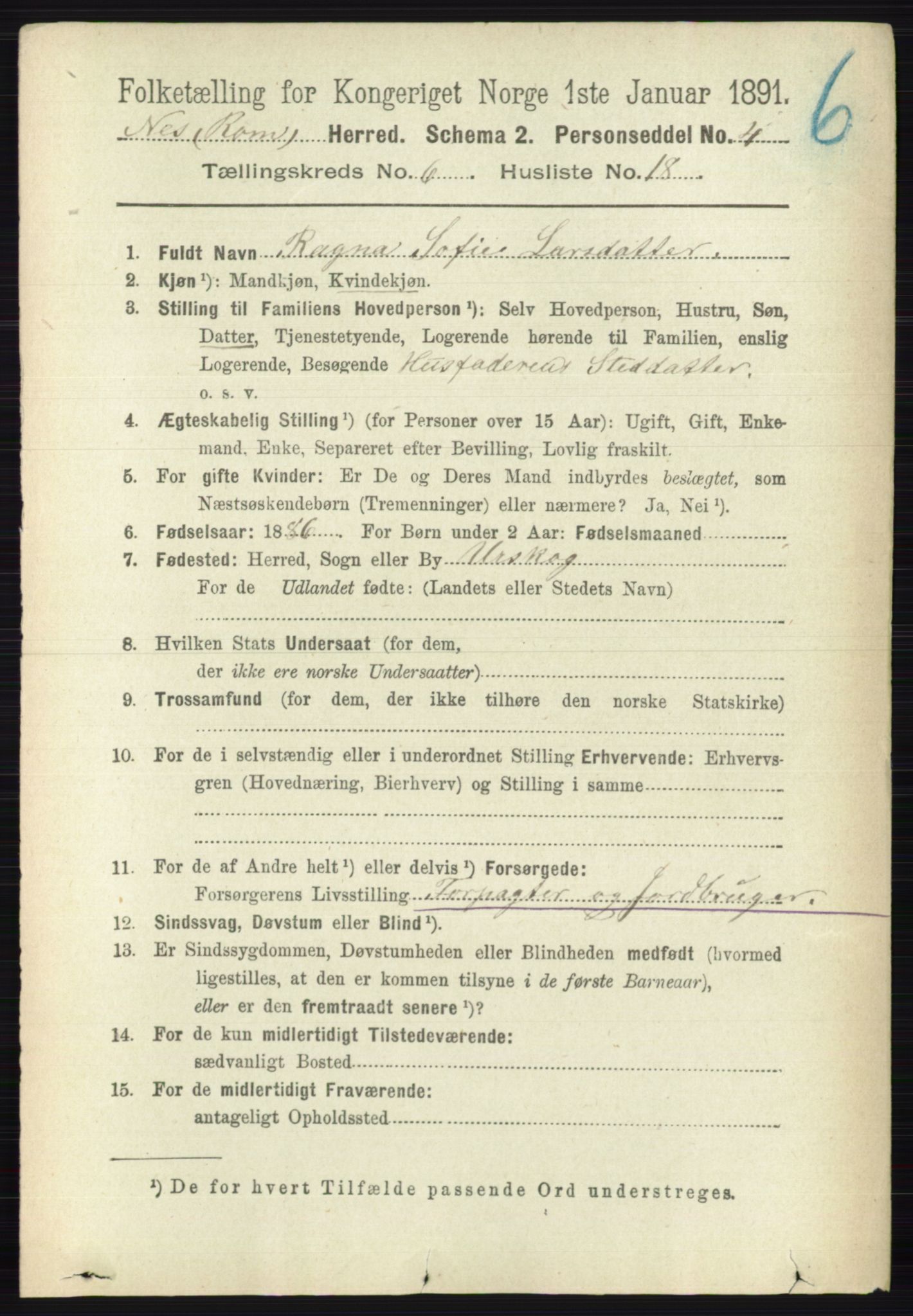 RA, 1891 census for 0236 Nes, 1891, p. 3491
