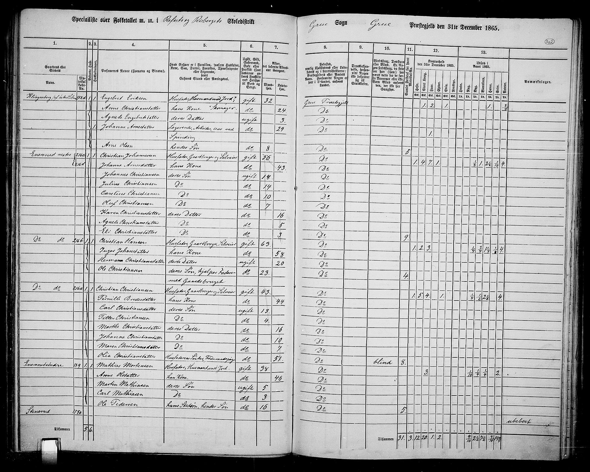 RA, 1865 census for Grue, 1865, p. 265