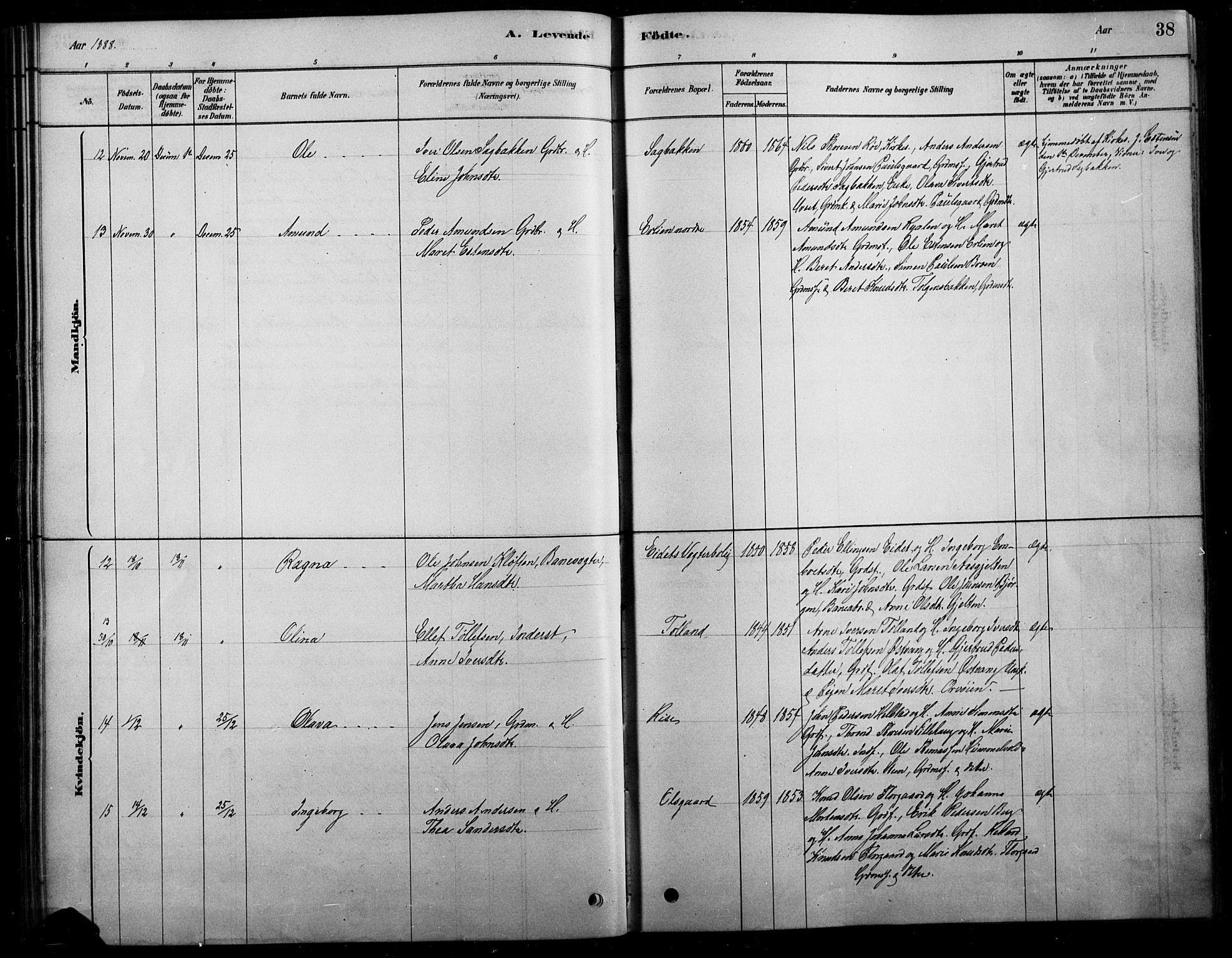 Tolga prestekontor, AV/SAH-PREST-062/L/L0007: Parish register (copy) no. 7, 1878-1919, p. 38