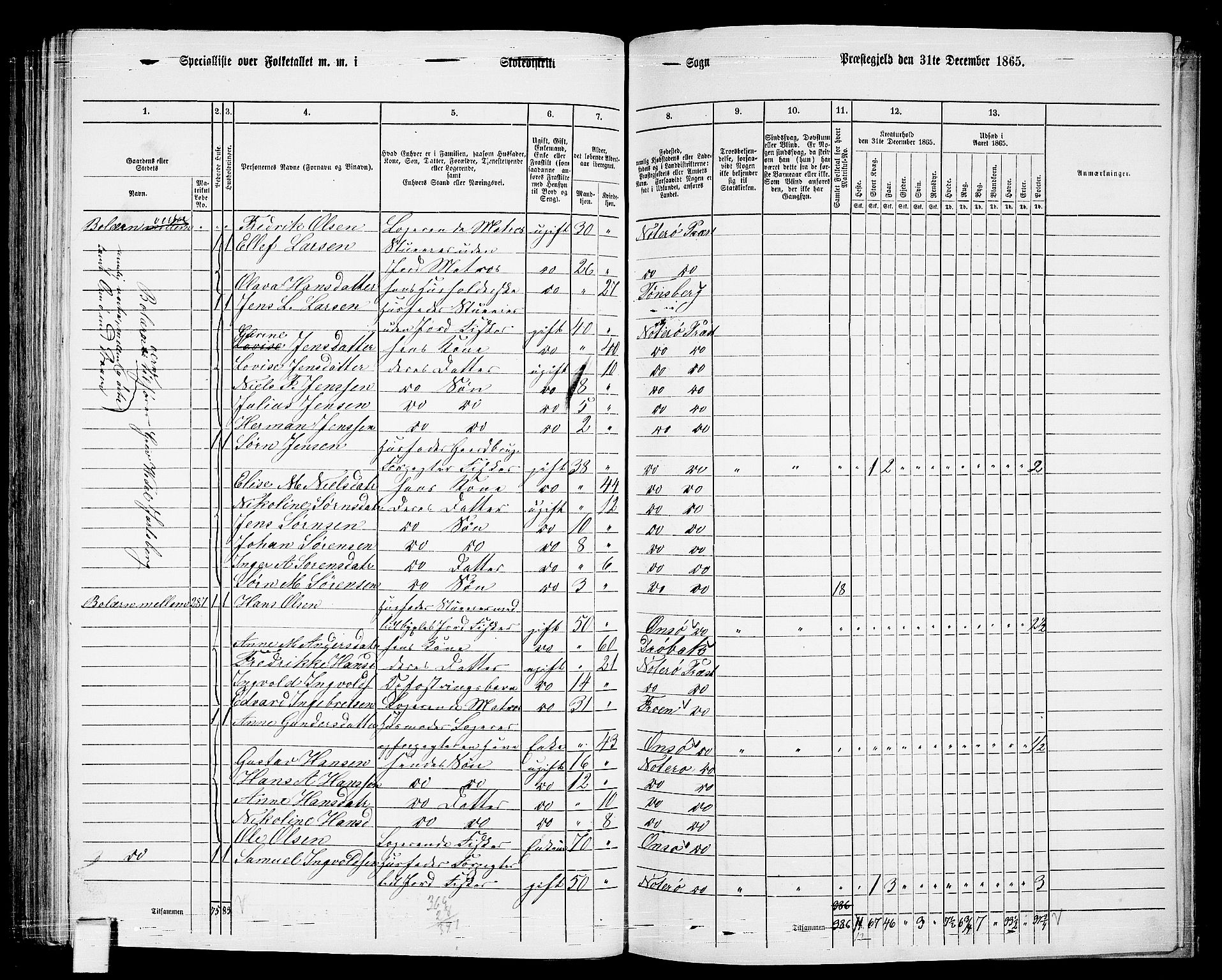 RA, 1865 census for Nøtterøy, 1865, p. 196