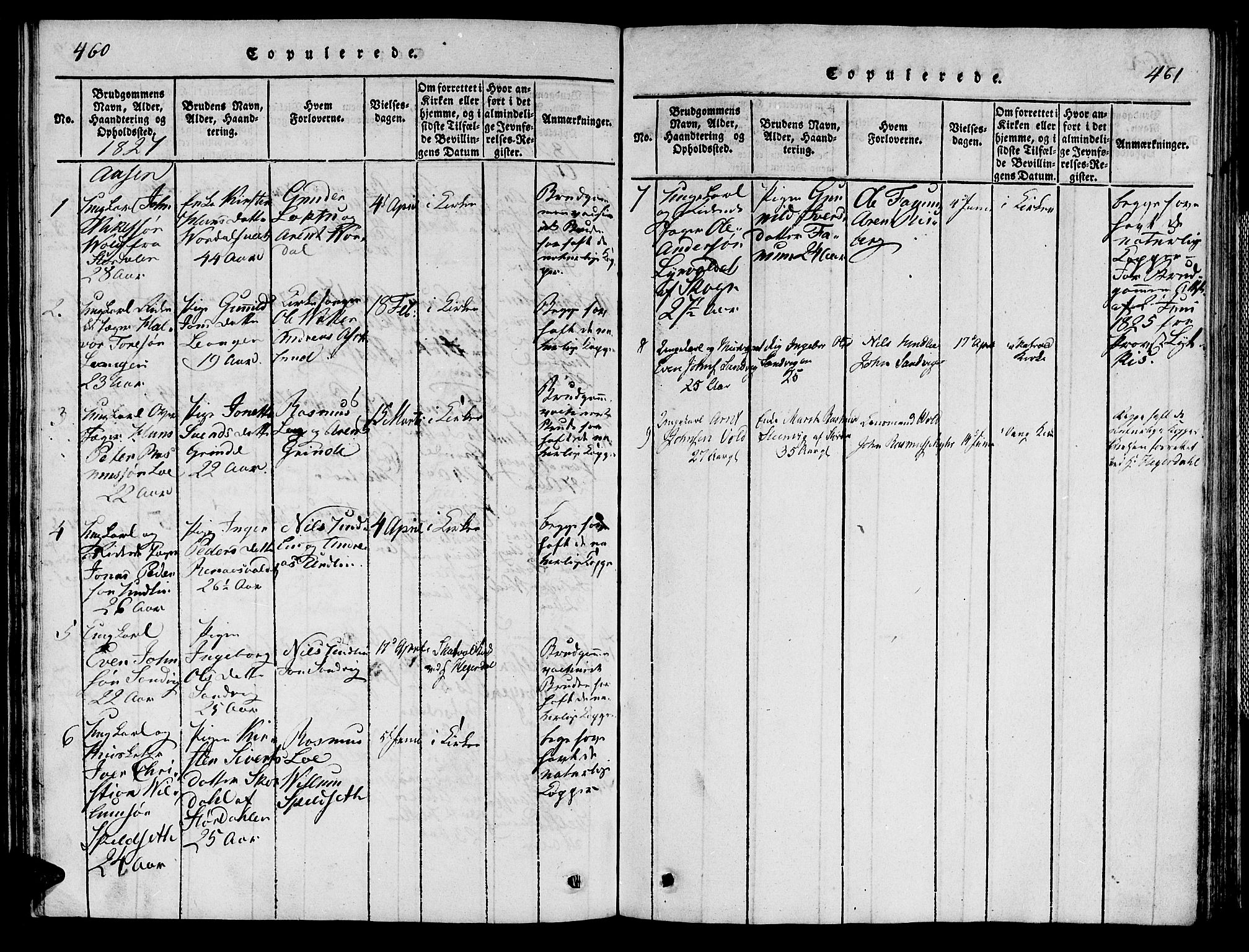 Ministerialprotokoller, klokkerbøker og fødselsregistre - Nord-Trøndelag, AV/SAT-A-1458/713/L0112: Parish register (official) no. 713A04 /2, 1817-1827, p. 460-461