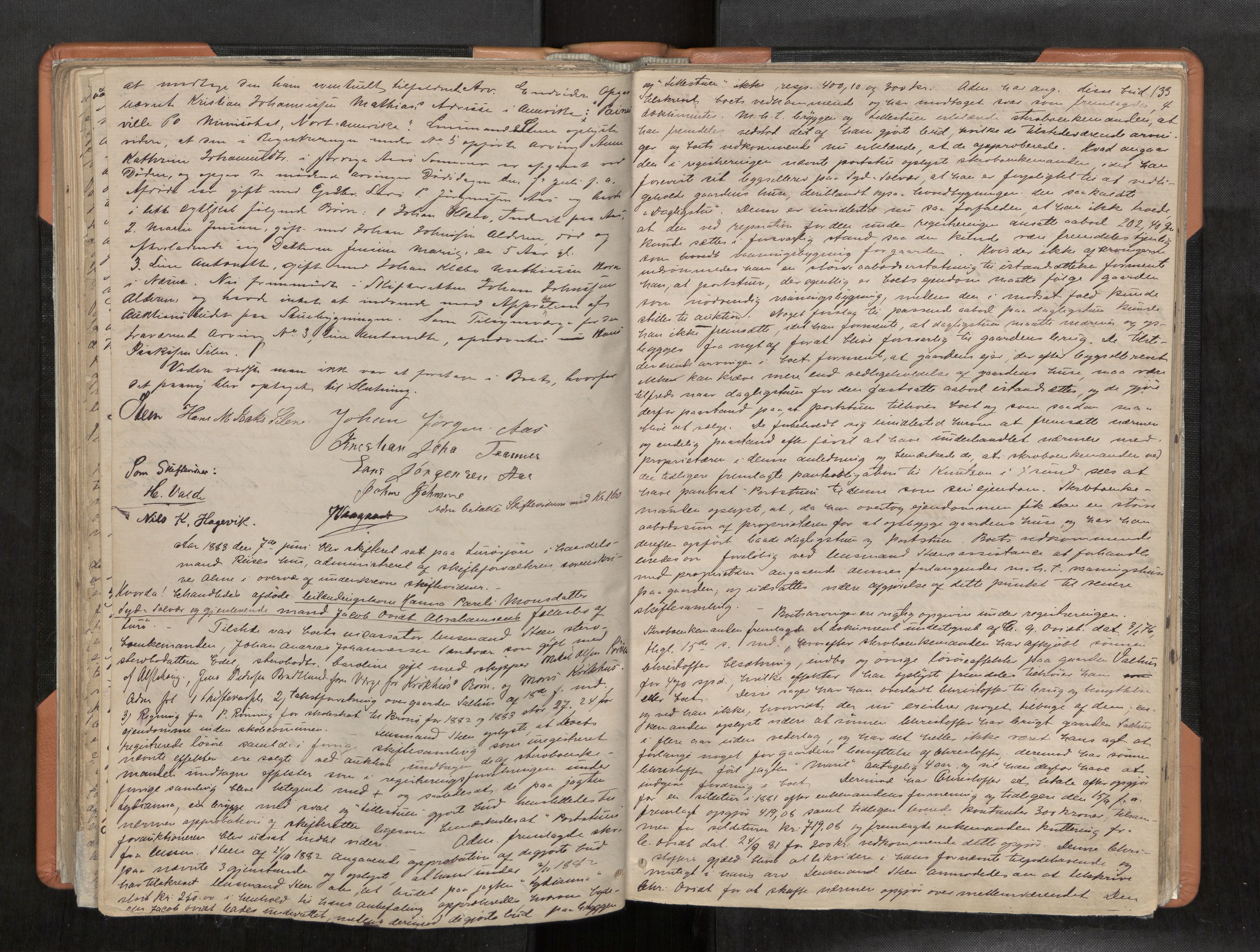 Rana sorenskriveri , AV/SAT-A-1108/1/3/3B/L0004: Skiftebehandlingsprotokoll, 1877-1886, p. 133