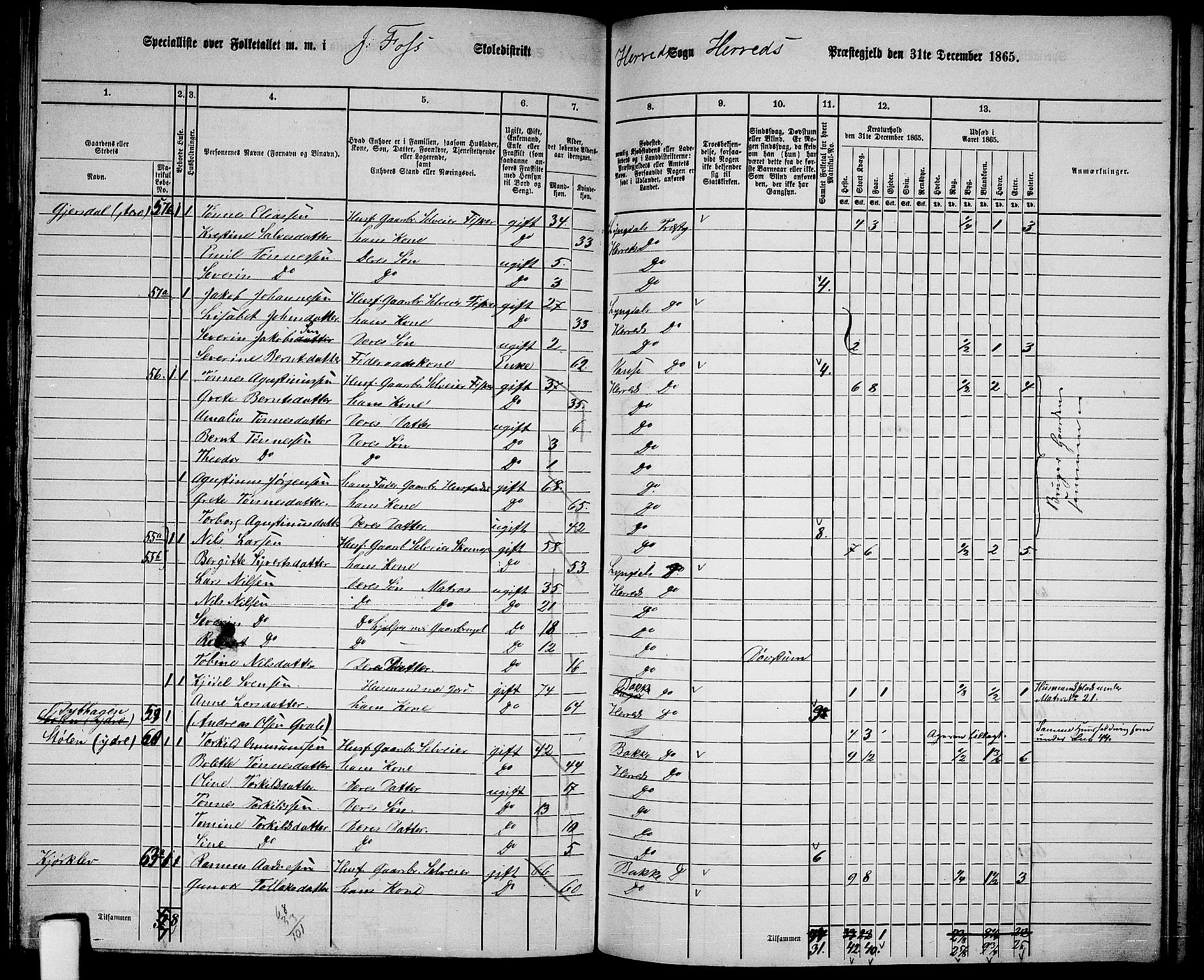 RA, 1865 census for Herad, 1865, p. 24