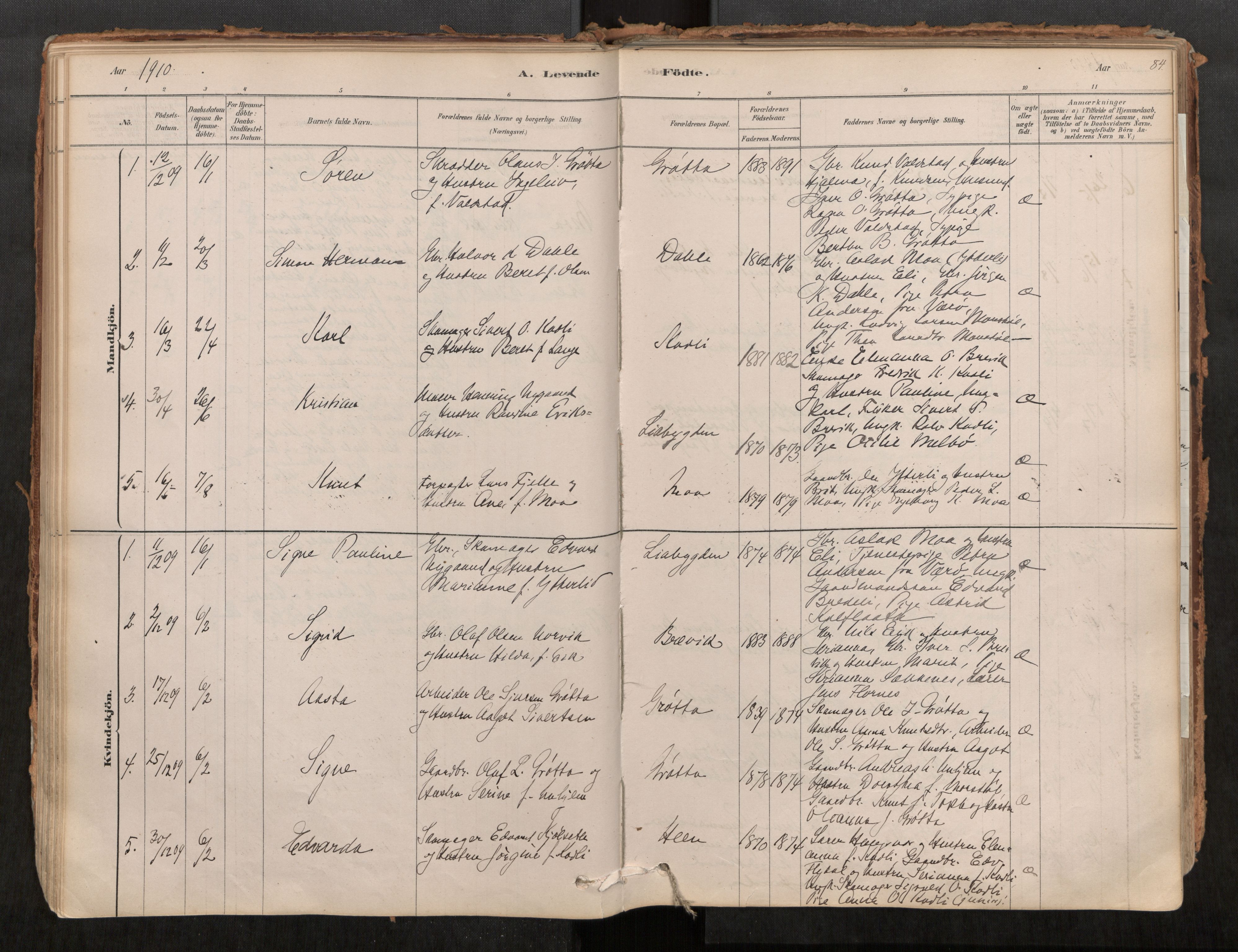 Ministerialprotokoller, klokkerbøker og fødselsregistre - Møre og Romsdal, AV/SAT-A-1454/545/L0594: Parish register (official) no. 545A03, 1878-1920, p. 84