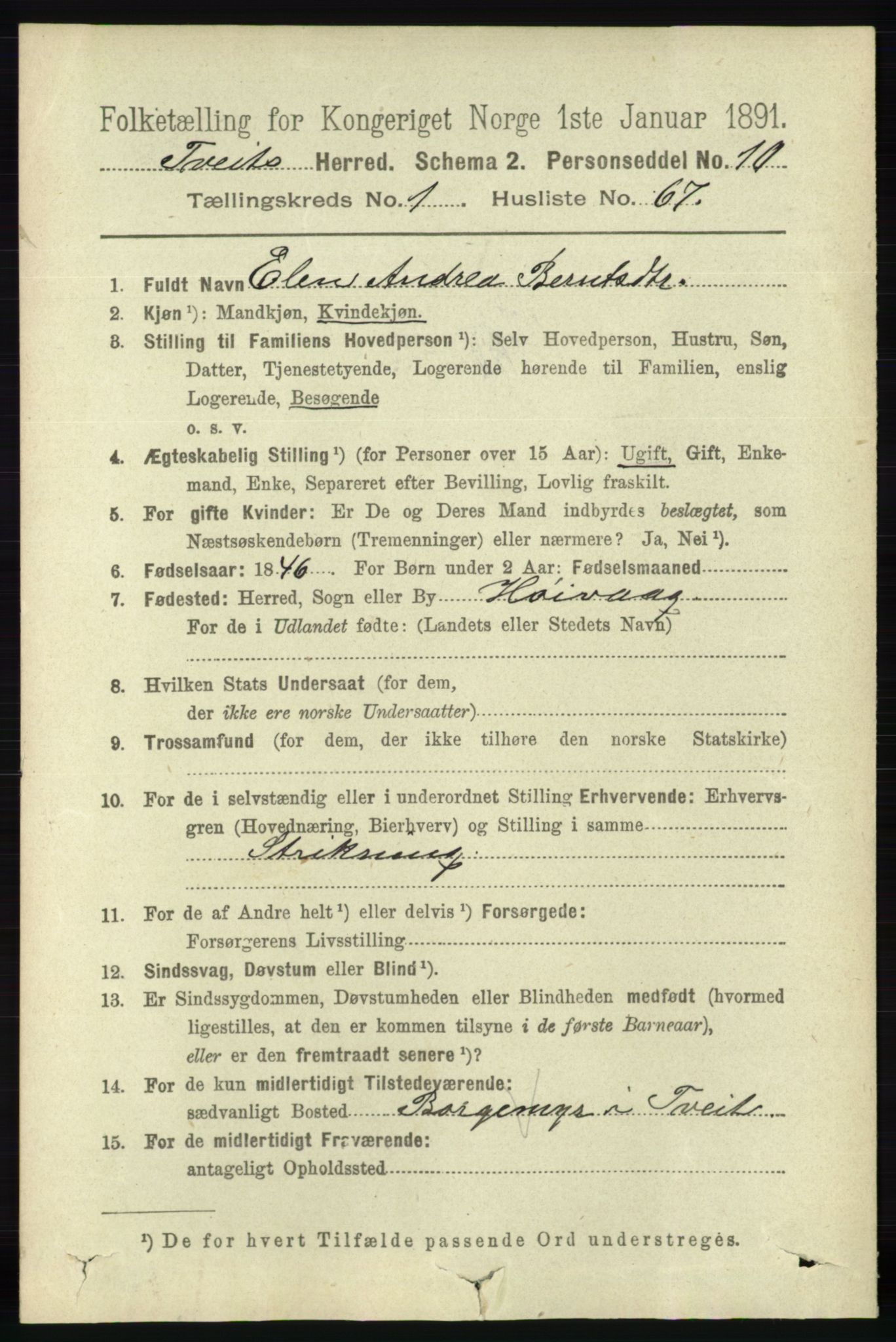 RA, 1891 census for 1013 Tveit, 1891, p. 411