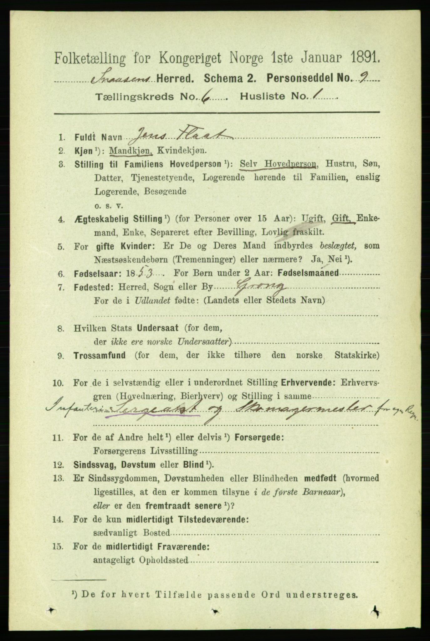 RA, 1891 census for 1736 Snåsa, 1891, p. 1894