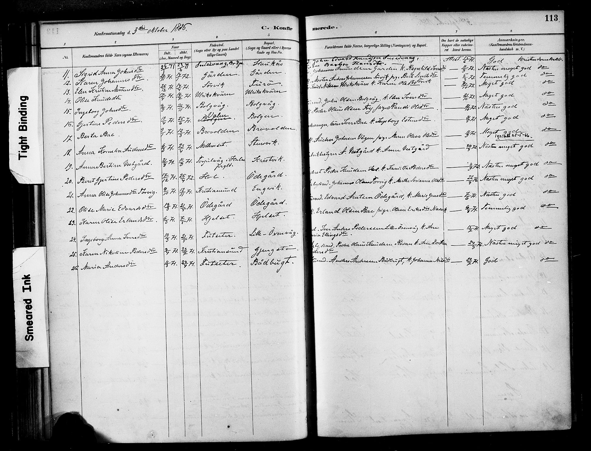 Ministerialprotokoller, klokkerbøker og fødselsregistre - Møre og Romsdal, AV/SAT-A-1454/569/L0819: Parish register (official) no. 569A05, 1885-1899, p. 113