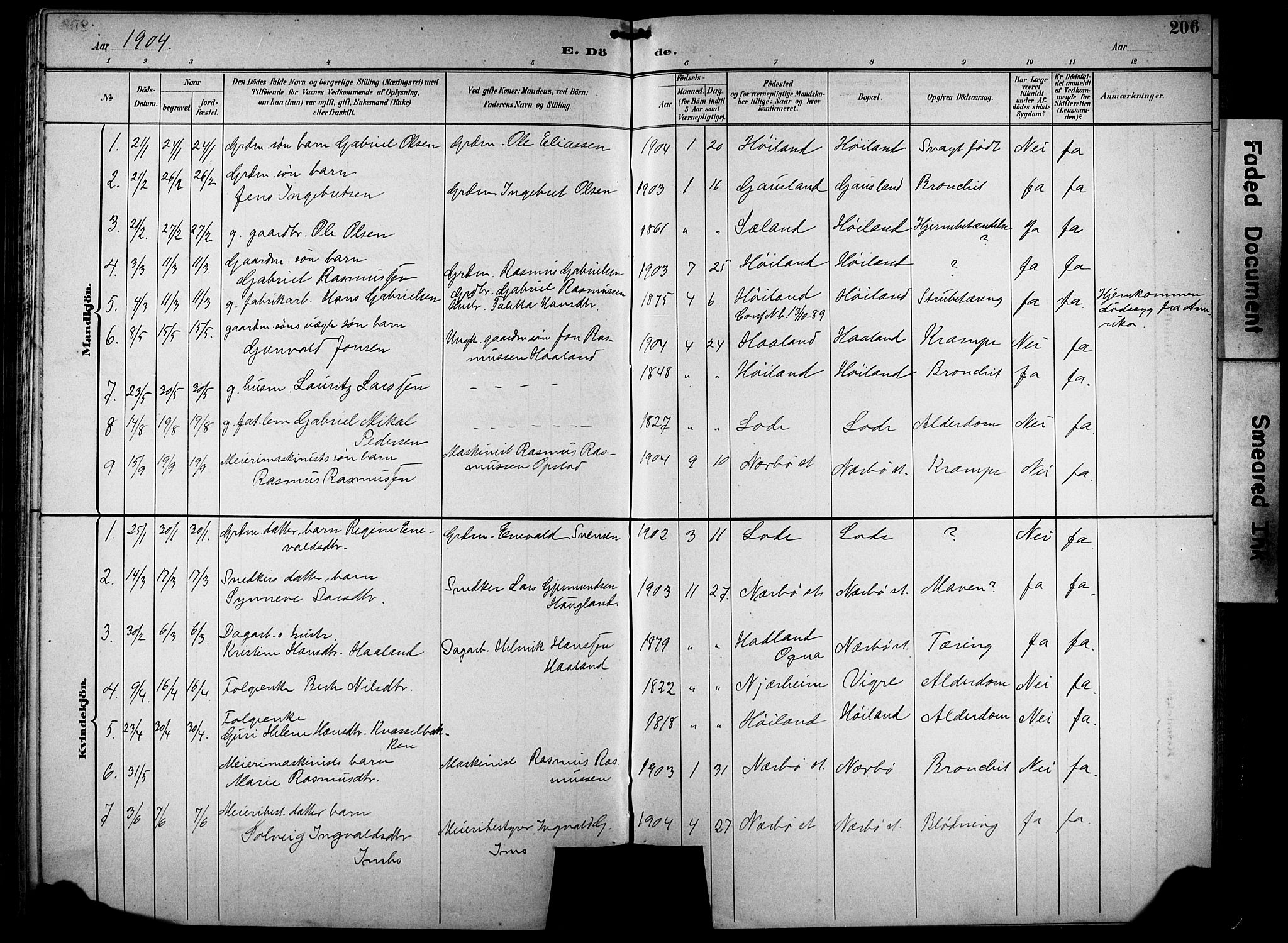 Hå sokneprestkontor, AV/SAST-A-101801/001/30BB/L0005: Parish register (copy) no. B 5, 1894-1912, p. 206