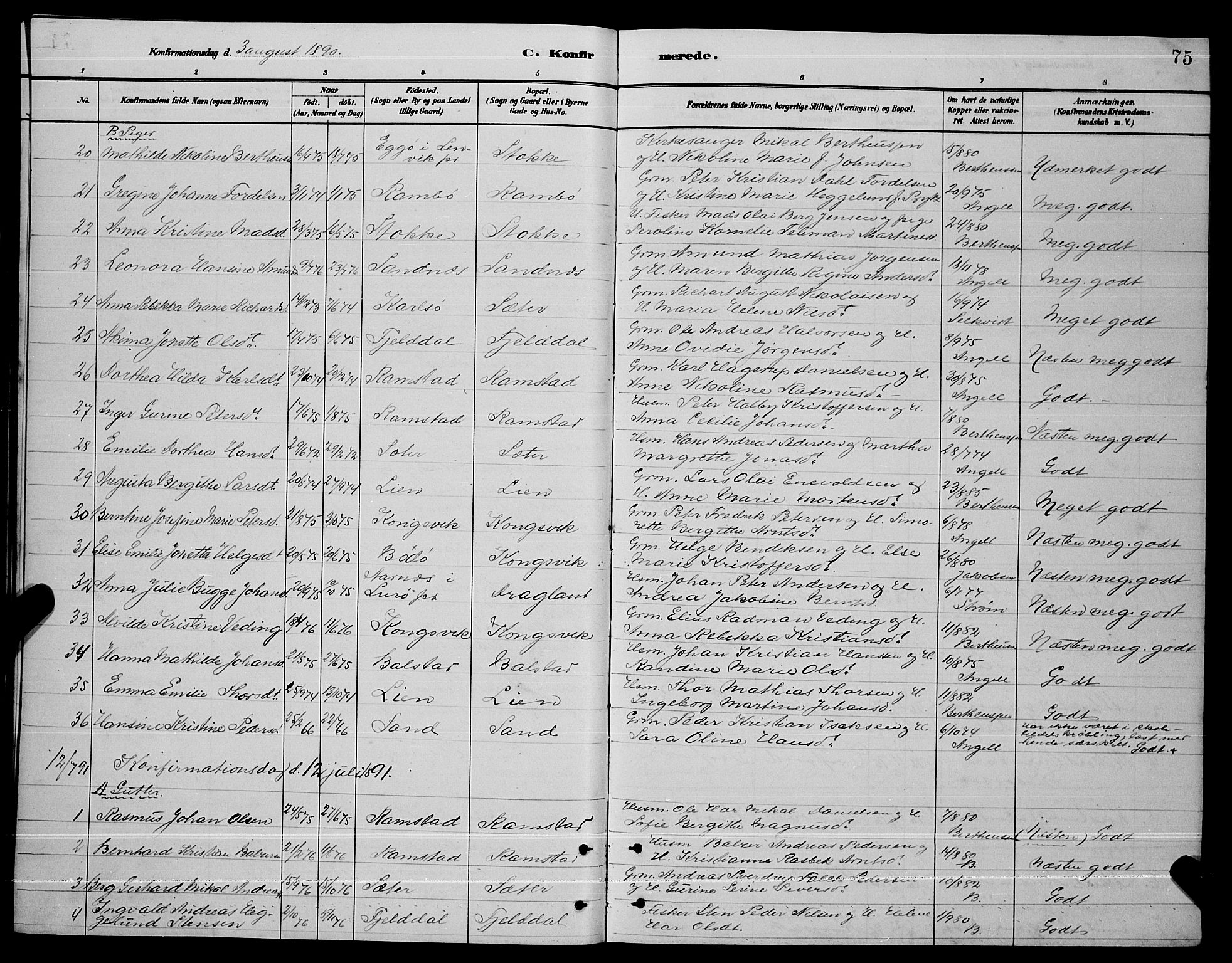 Ministerialprotokoller, klokkerbøker og fødselsregistre - Nordland, AV/SAT-A-1459/865/L0931: Parish register (copy) no. 865C03, 1885-1901, p. 75