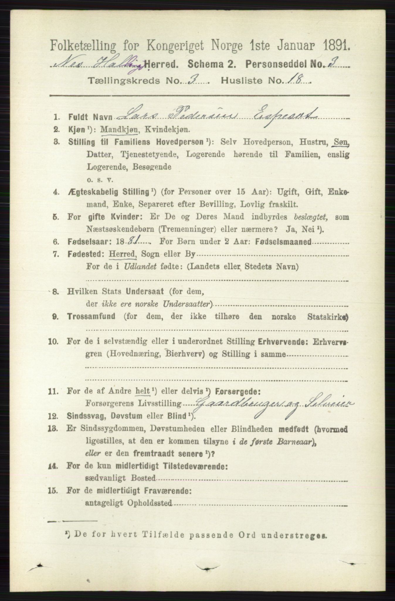 RA, 1891 census for 0616 Nes, 1891, p. 1605