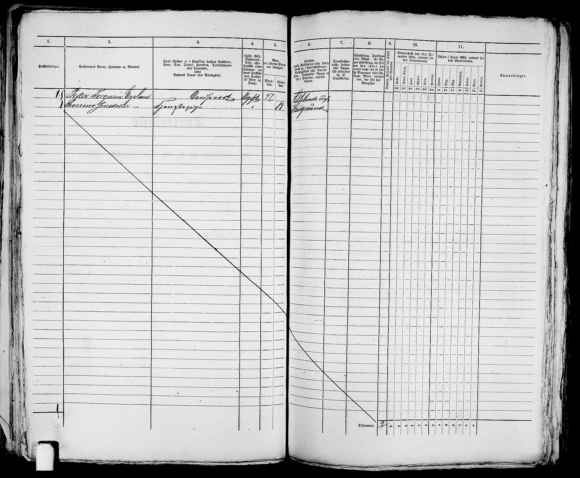 RA, 1865 census for Torvastad/Haugesund, 1865, p. 170