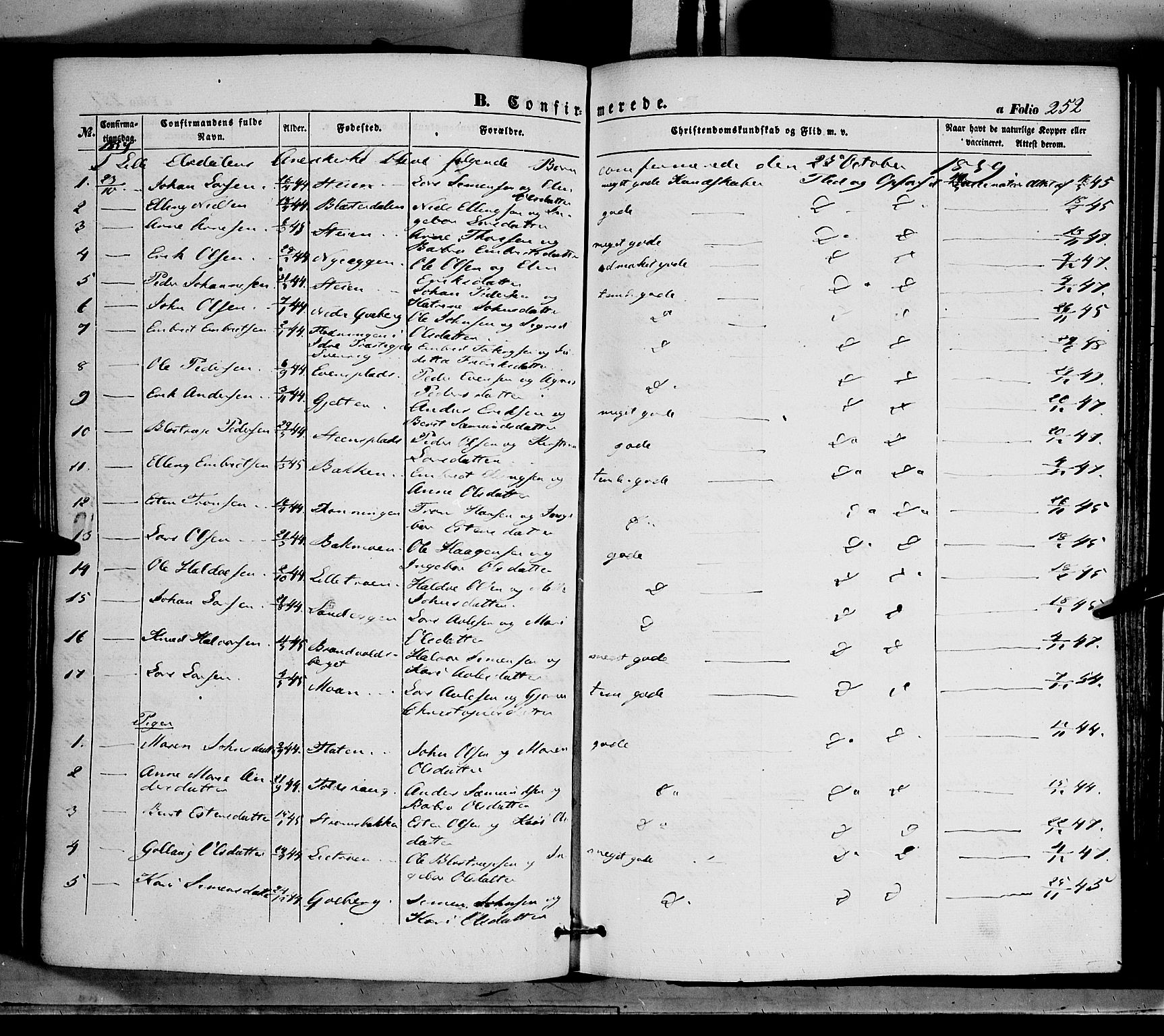 Tynset prestekontor, AV/SAH-PREST-058/H/Ha/Haa/L0020: Parish register (official) no. 20, 1848-1862, p. 252