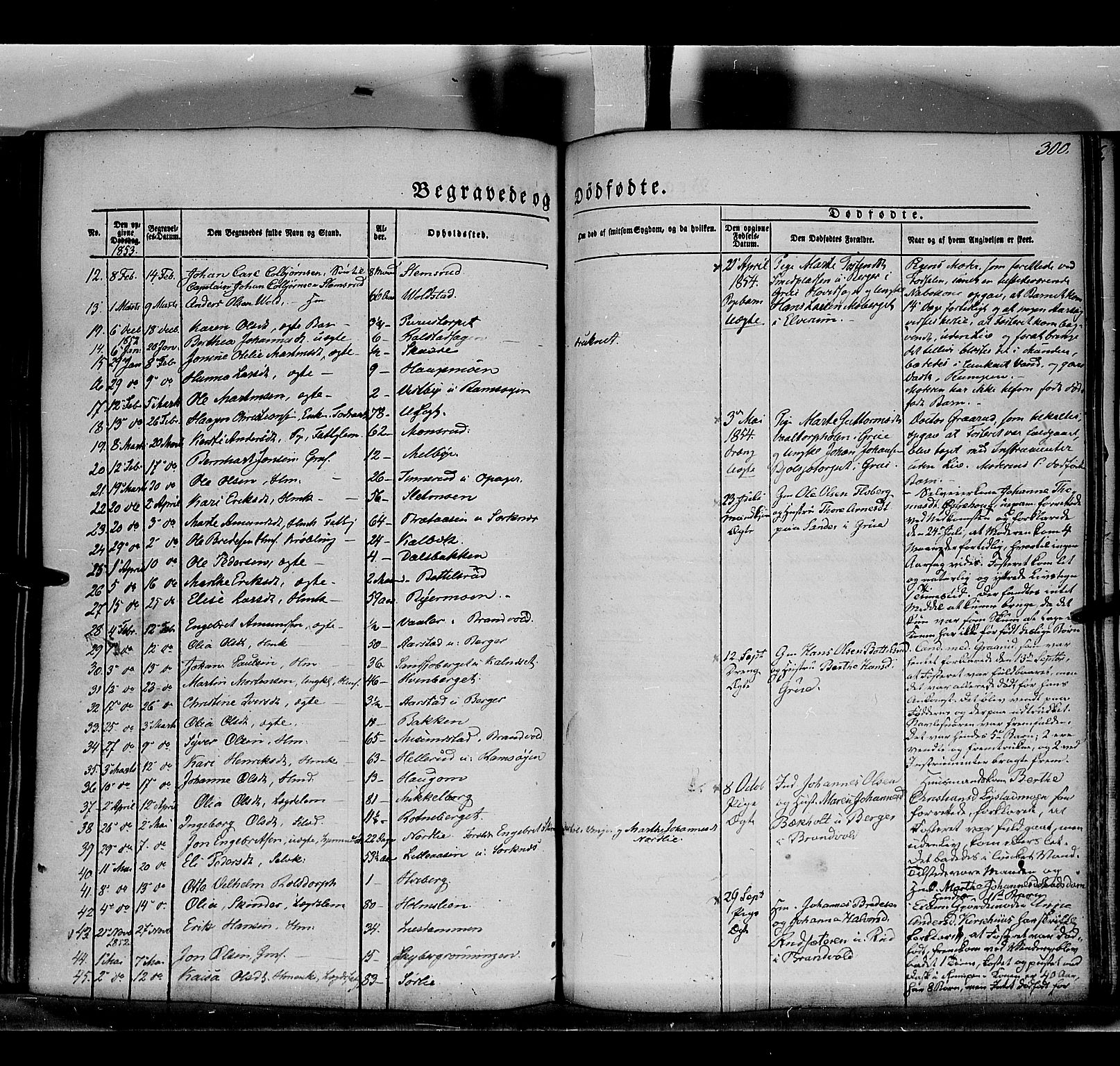 Grue prestekontor, AV/SAH-PREST-036/H/Ha/Haa/L0008: Parish register (official) no. 8, 1847-1858, p. 300