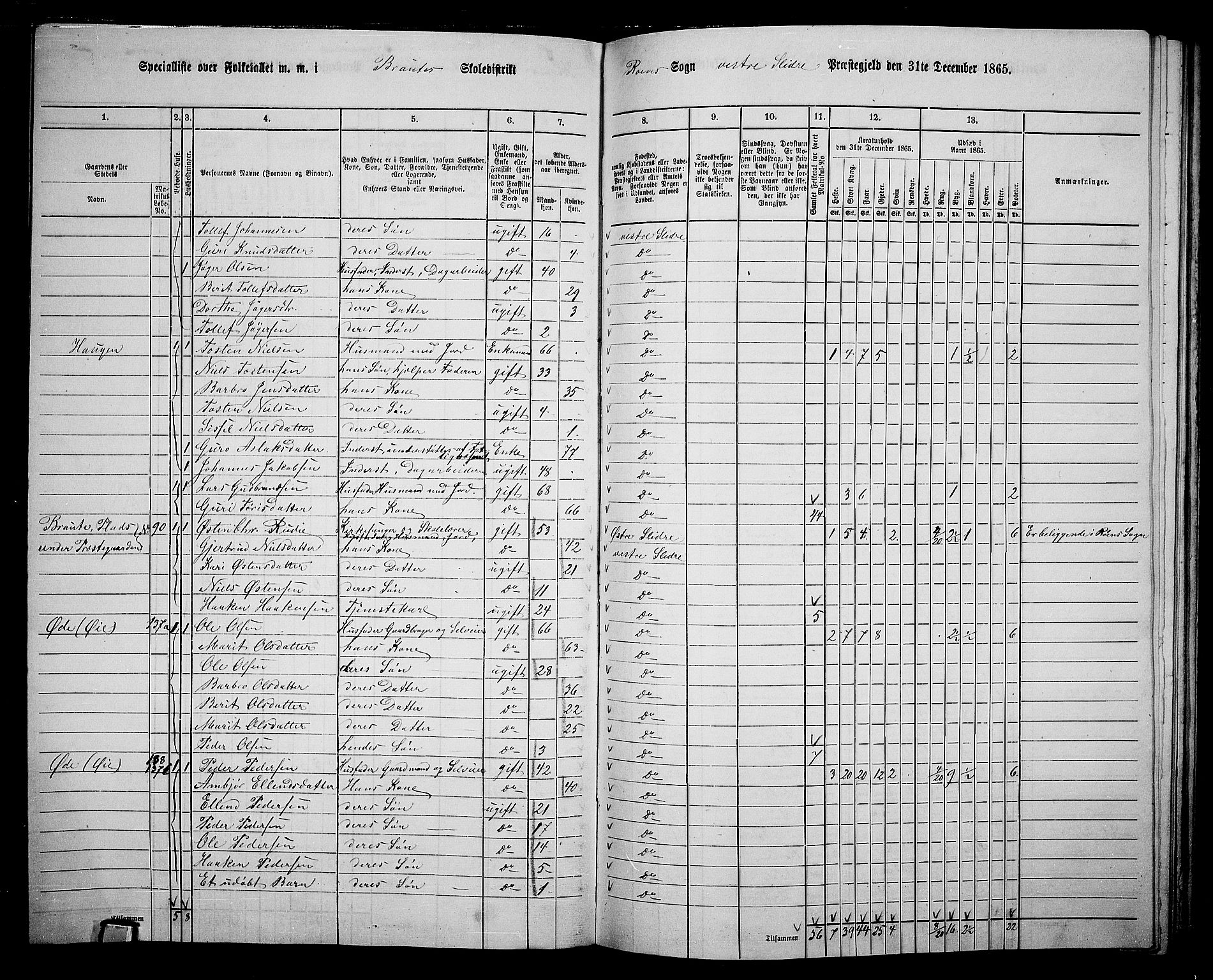 RA, 1865 census for Vestre Slidre, 1865, p. 108