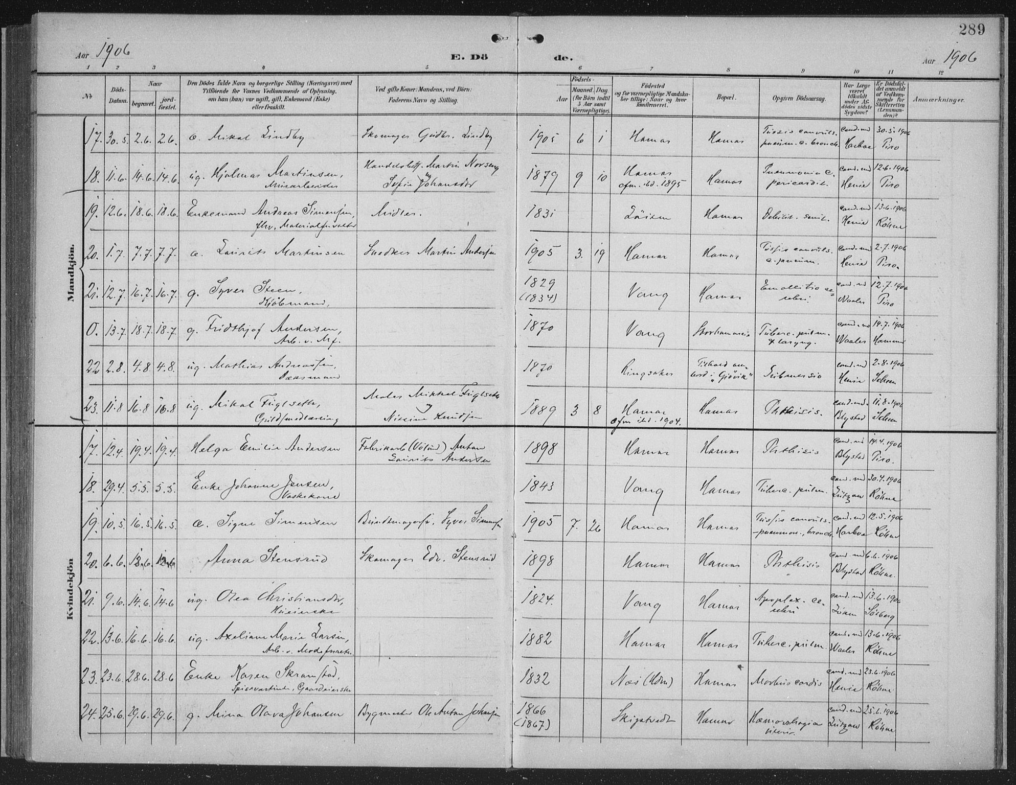 Hamar prestekontor, AV/SAH-DOMPH-002/H/Ha/Haa/L0001: Parish register (official) no. 1, 1900-1914, p. 289