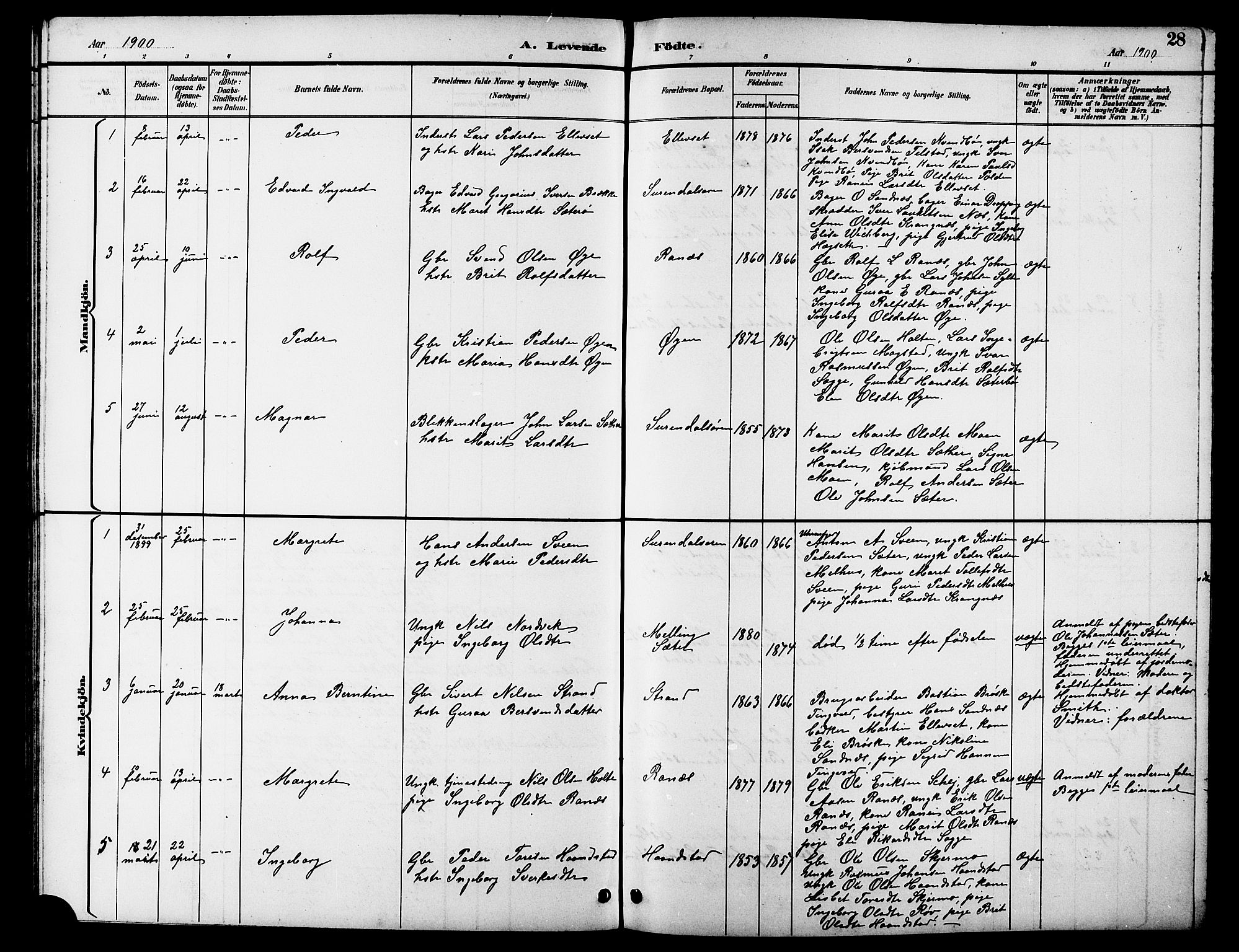 Ministerialprotokoller, klokkerbøker og fødselsregistre - Møre og Romsdal, AV/SAT-A-1454/596/L1058: Parish register (copy) no. 596C01, 1891-1907, p. 28