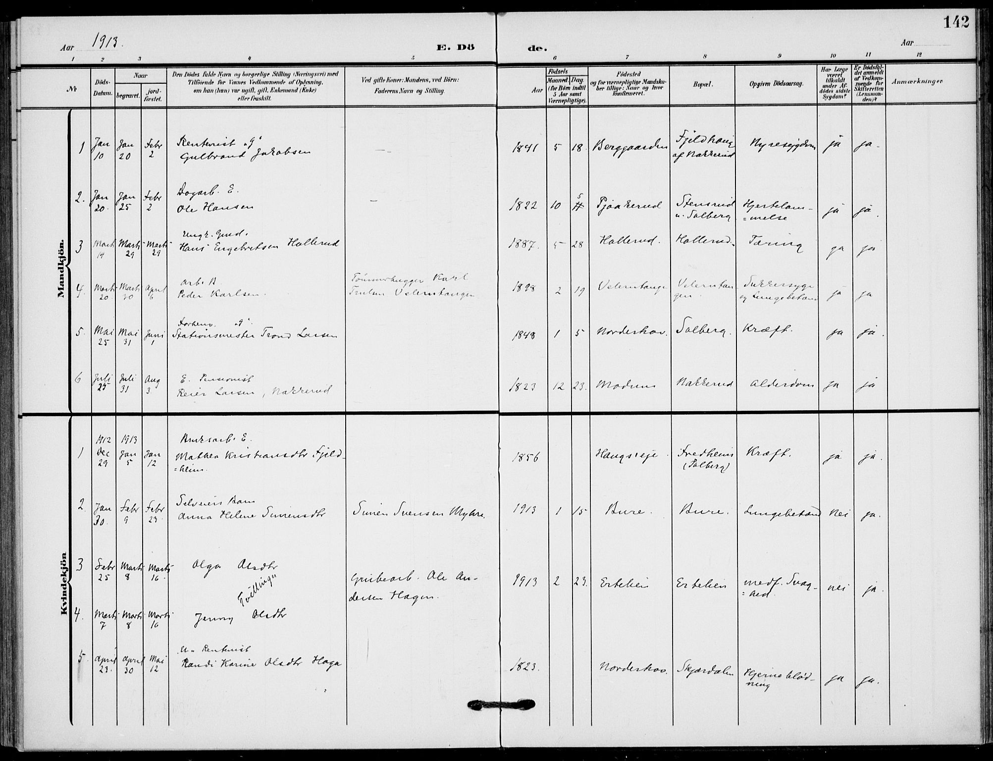 Hole kirkebøker, SAKO/A-228/F/Fb/L0003: Parish register (official) no. II 3, 1906-1916, p. 142