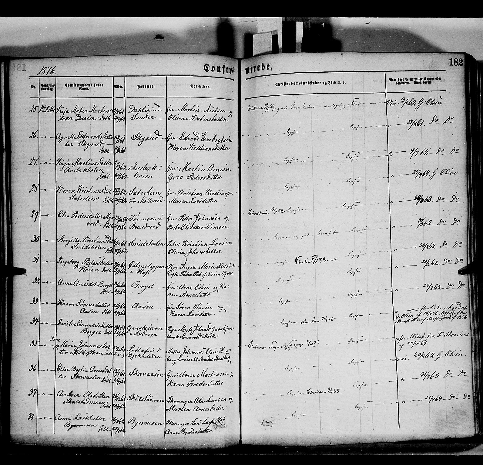 Grue prestekontor, AV/SAH-PREST-036/H/Ha/Haa/L0011: Parish register (official) no. 11, 1873-1880, p. 182