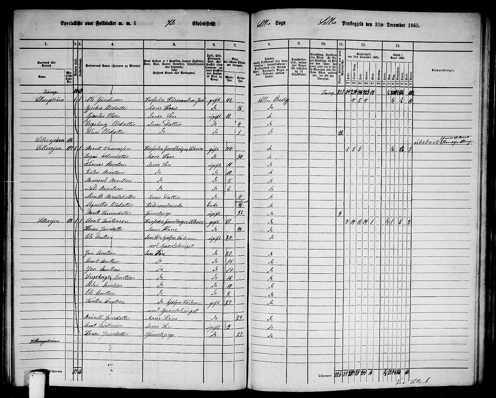 RA, 1865 census for Selbu, 1865, p. 126