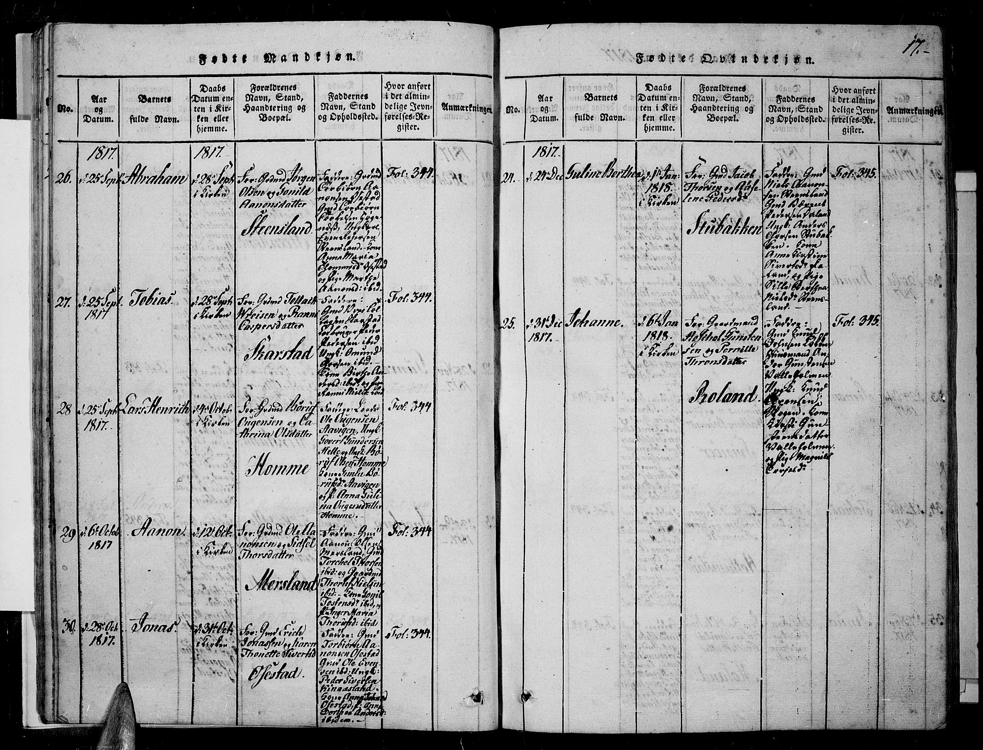 Sør-Audnedal sokneprestkontor, AV/SAK-1111-0039/F/Fa/Fab/L0005: Parish register (official) no. A 5, 1816-1830, p. 17