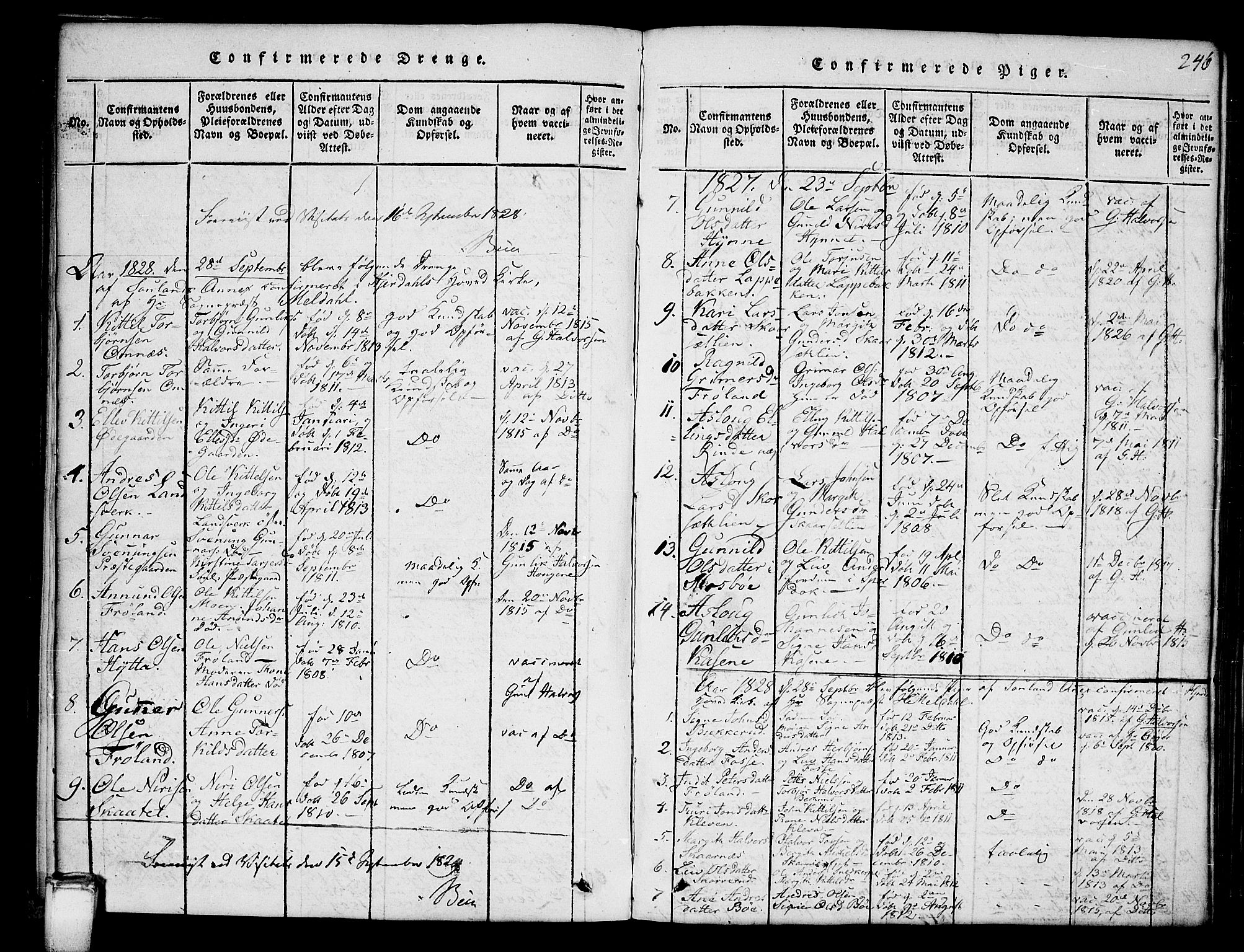 Hjartdal kirkebøker, SAKO/A-270/G/Gb/L0001: Parish register (copy) no. II 1, 1815-1842, p. 246