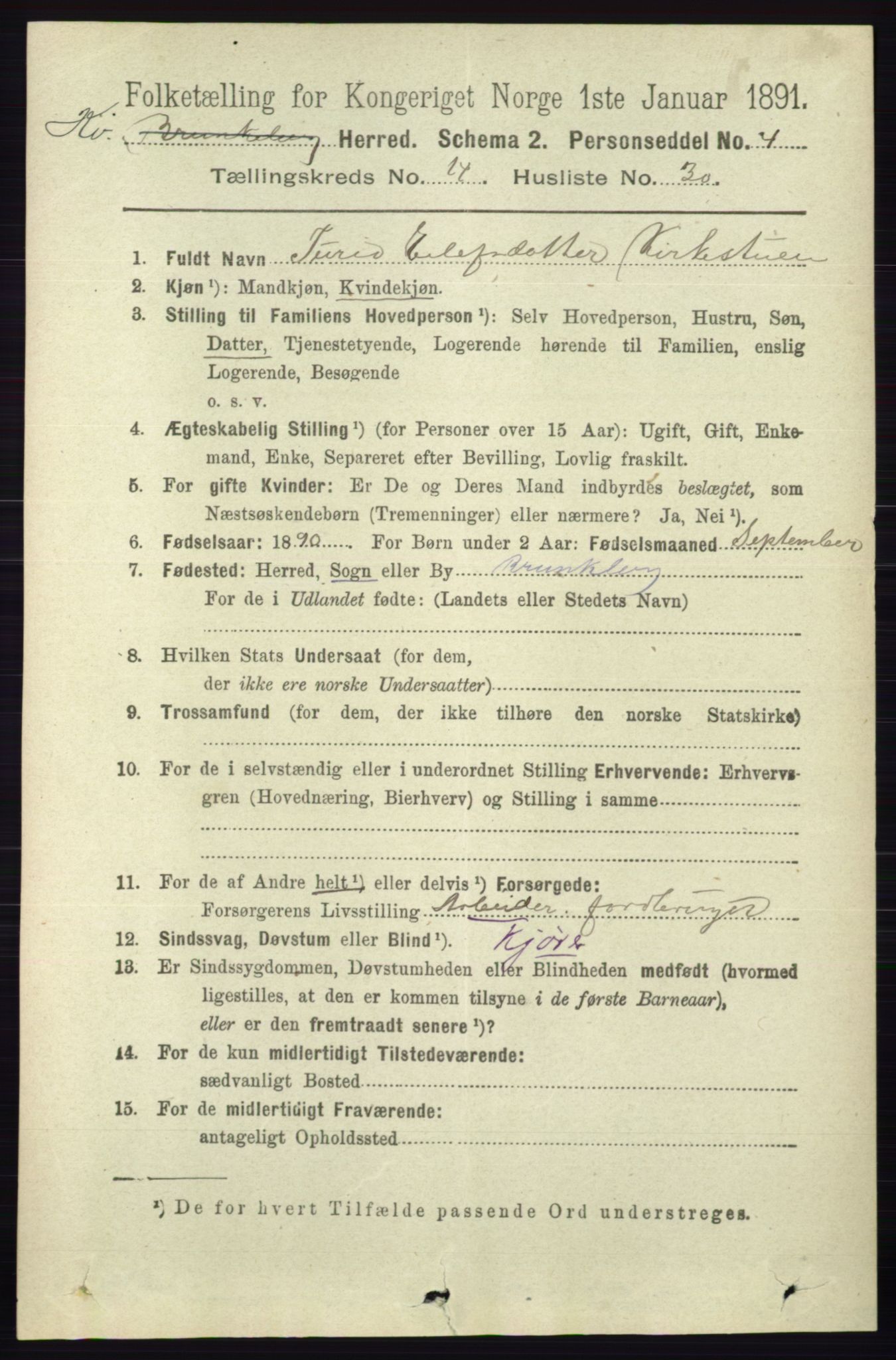 RA, 1891 census for 0829 Kviteseid, 1891, p. 3499