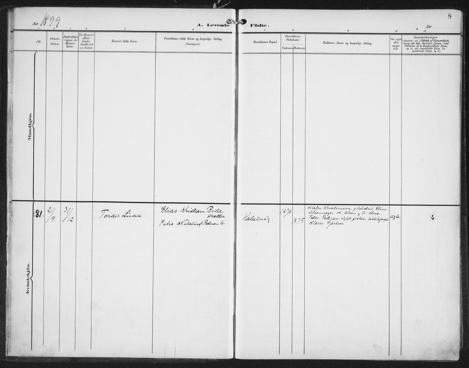 Ministerialprotokoller, klokkerbøker og fødselsregistre - Nordland, AV/SAT-A-1459/874/L1062: Parish register (official) no. 874A06, 1899-1907, p. 8