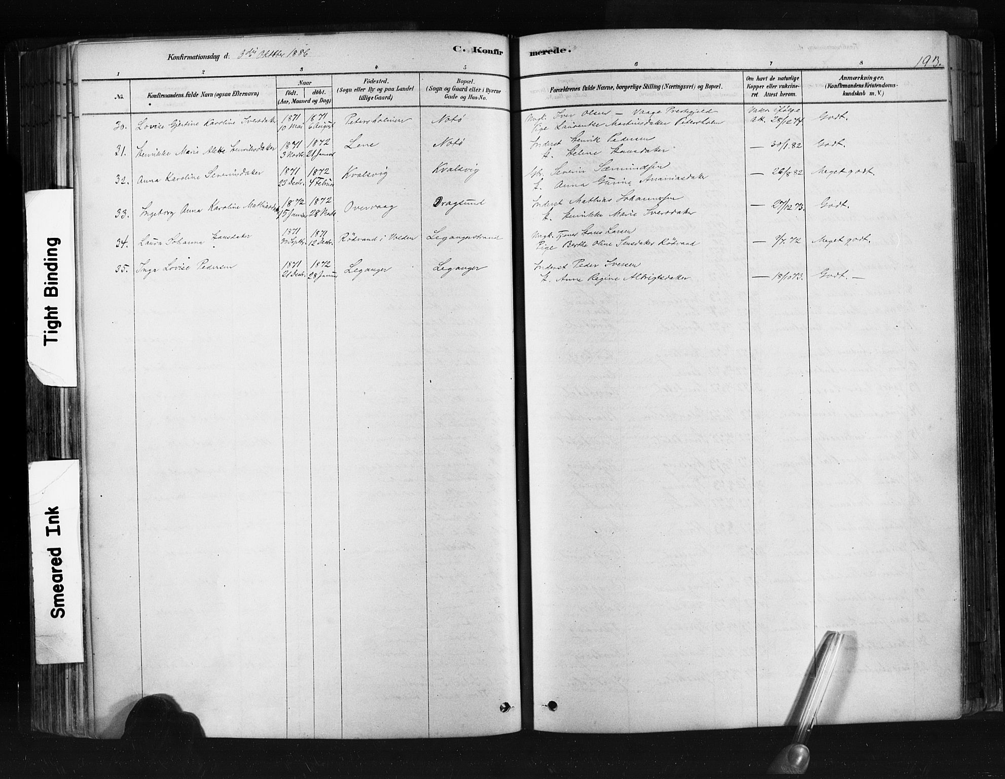 Ministerialprotokoller, klokkerbøker og fødselsregistre - Møre og Romsdal, SAT/A-1454/507/L0073: Parish register (official) no. 507A08, 1878-1904, p. 193