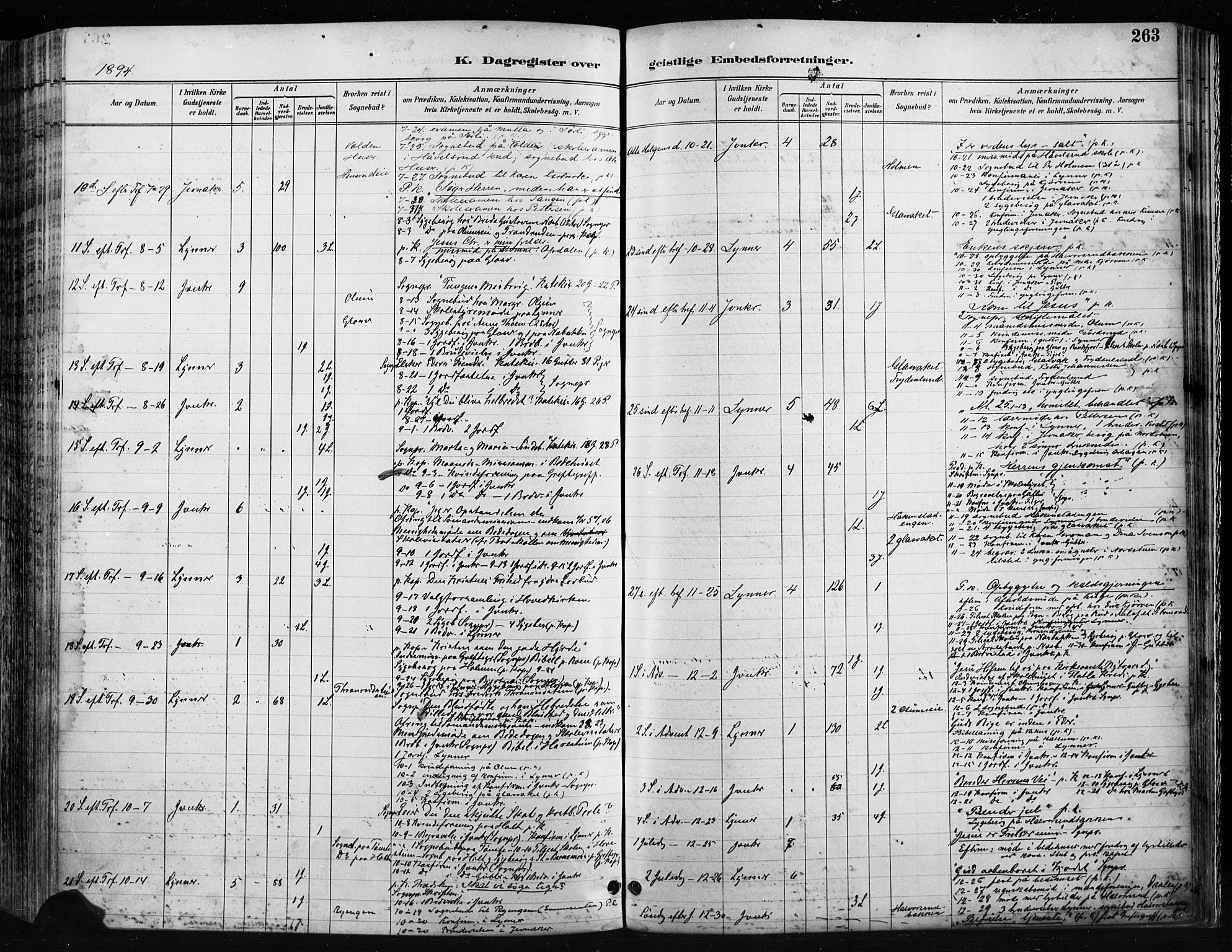 Jevnaker prestekontor, SAH/PREST-116/H/Ha/Haa/L0009: Parish register (official) no. 9, 1891-1901, p. 263