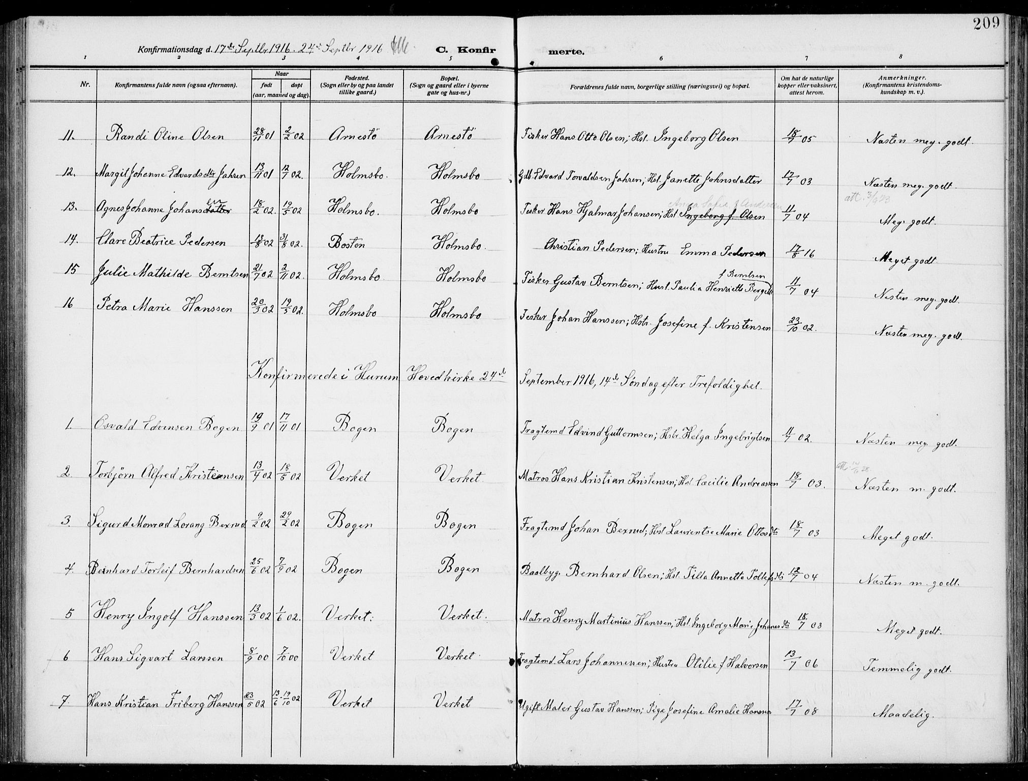 Hurum kirkebøker, AV/SAKO-A-229/F/Fa/L0016: Parish register (official) no. 16, 1899-1918, p. 209