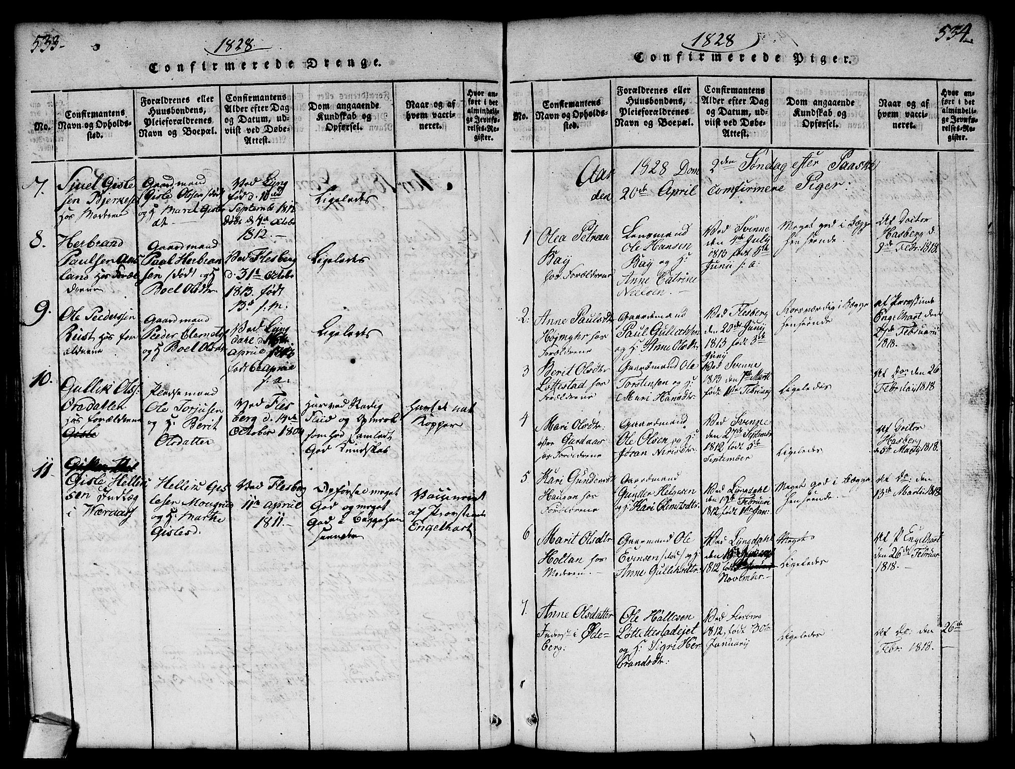 Flesberg kirkebøker, AV/SAKO-A-18/G/Ga/L0001: Parish register (copy) no. I 1, 1816-1834, p. 533-534