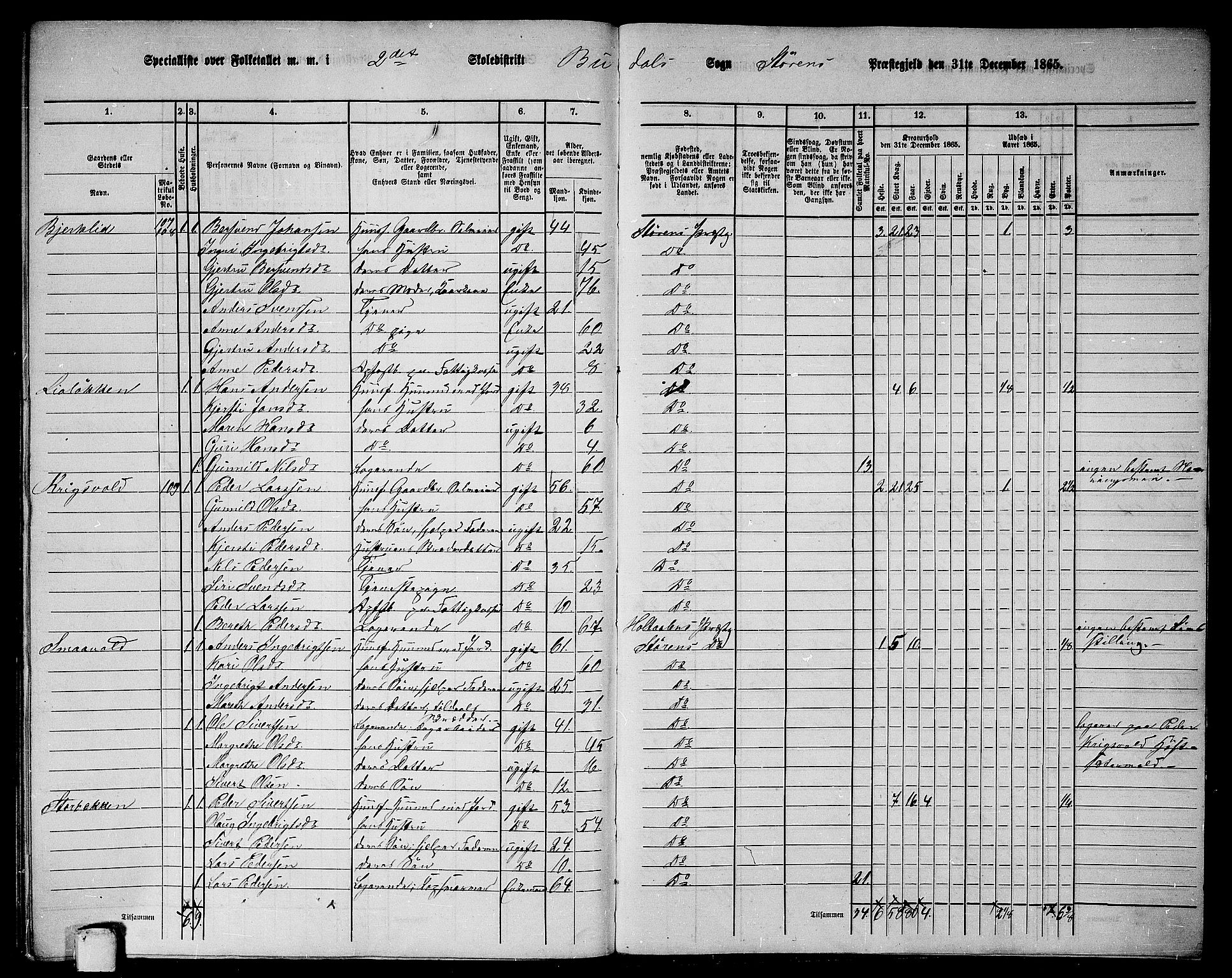 RA, 1865 census for Støren, 1865, p. 310