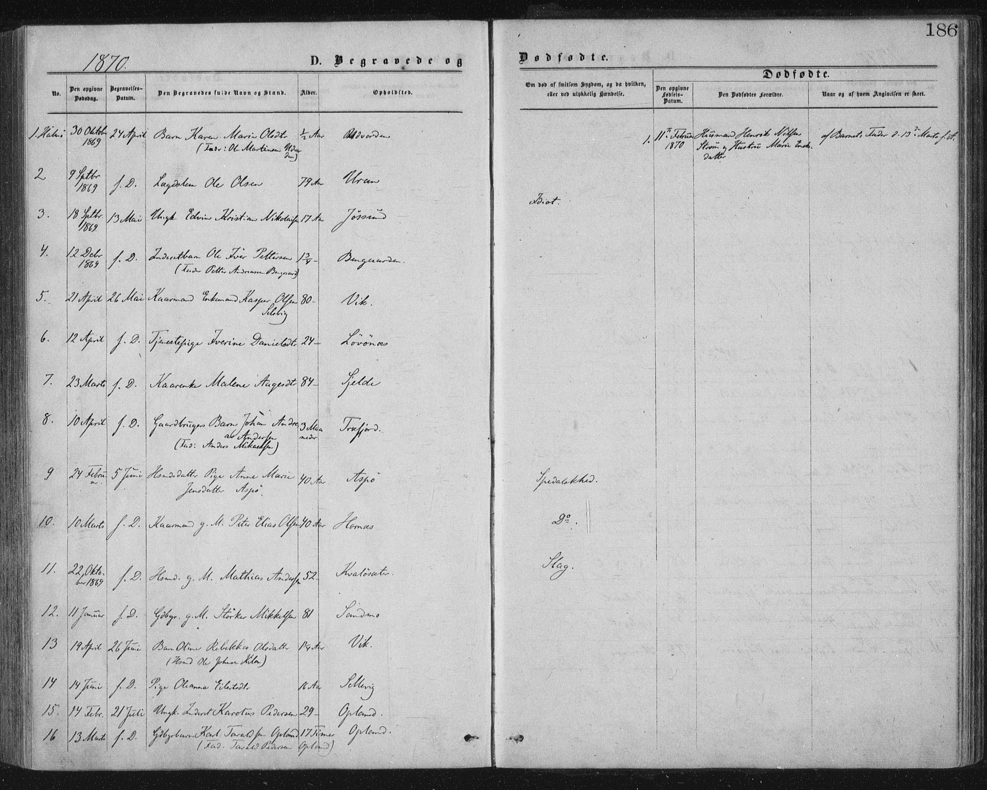 Ministerialprotokoller, klokkerbøker og fødselsregistre - Nord-Trøndelag, SAT/A-1458/771/L0596: Parish register (official) no. 771A03, 1870-1884, p. 186