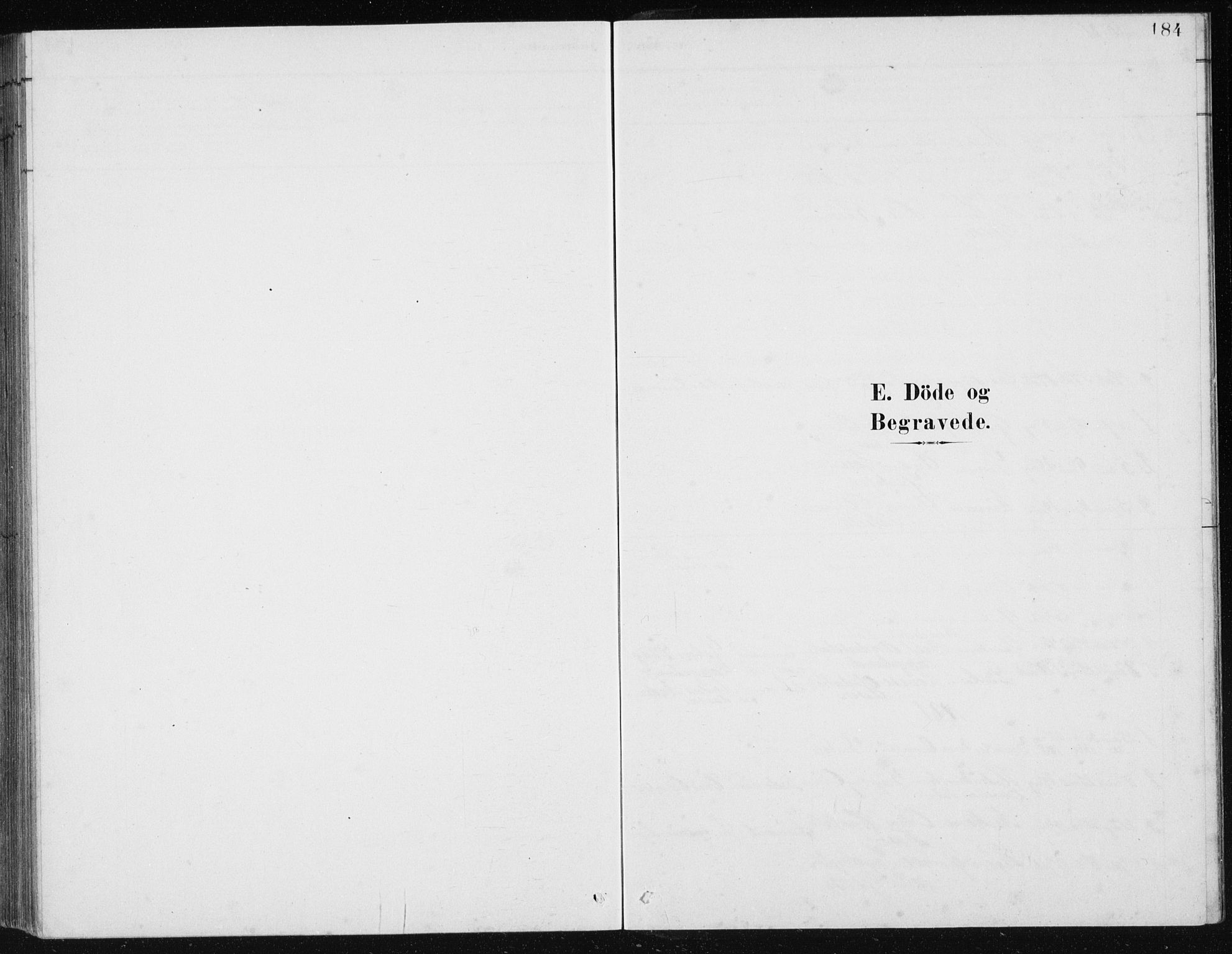Ministerialprotokoller, klokkerbøker og fødselsregistre - Møre og Romsdal, SAT/A-1454/517/L0230: Parish register (copy) no. 517C03, 1879-1912, p. 184