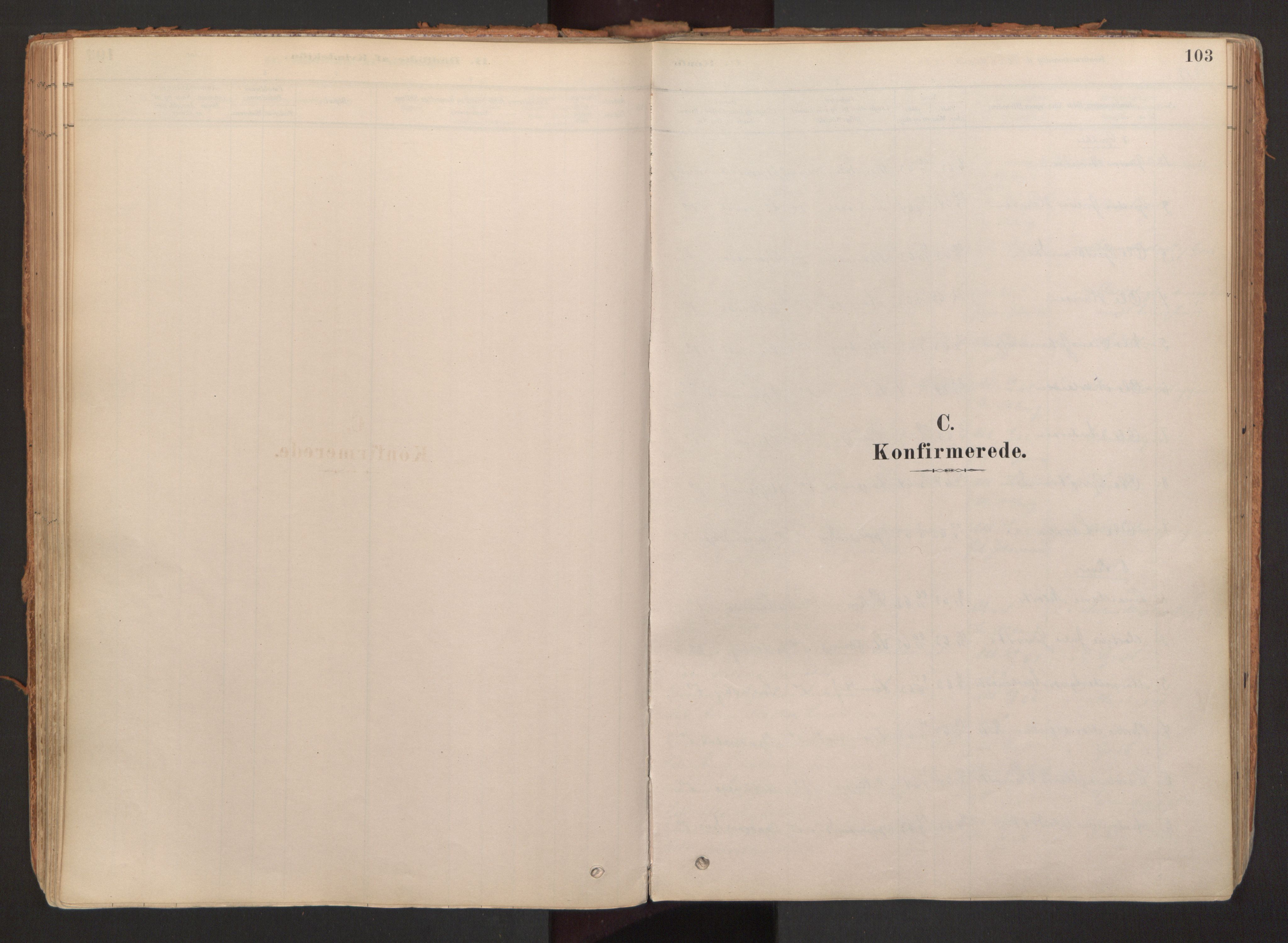 Hurdal prestekontor Kirkebøker, SAO/A-10889/F/Fb/L0003: Parish register (official) no. II 3, 1878-1920, p. 103