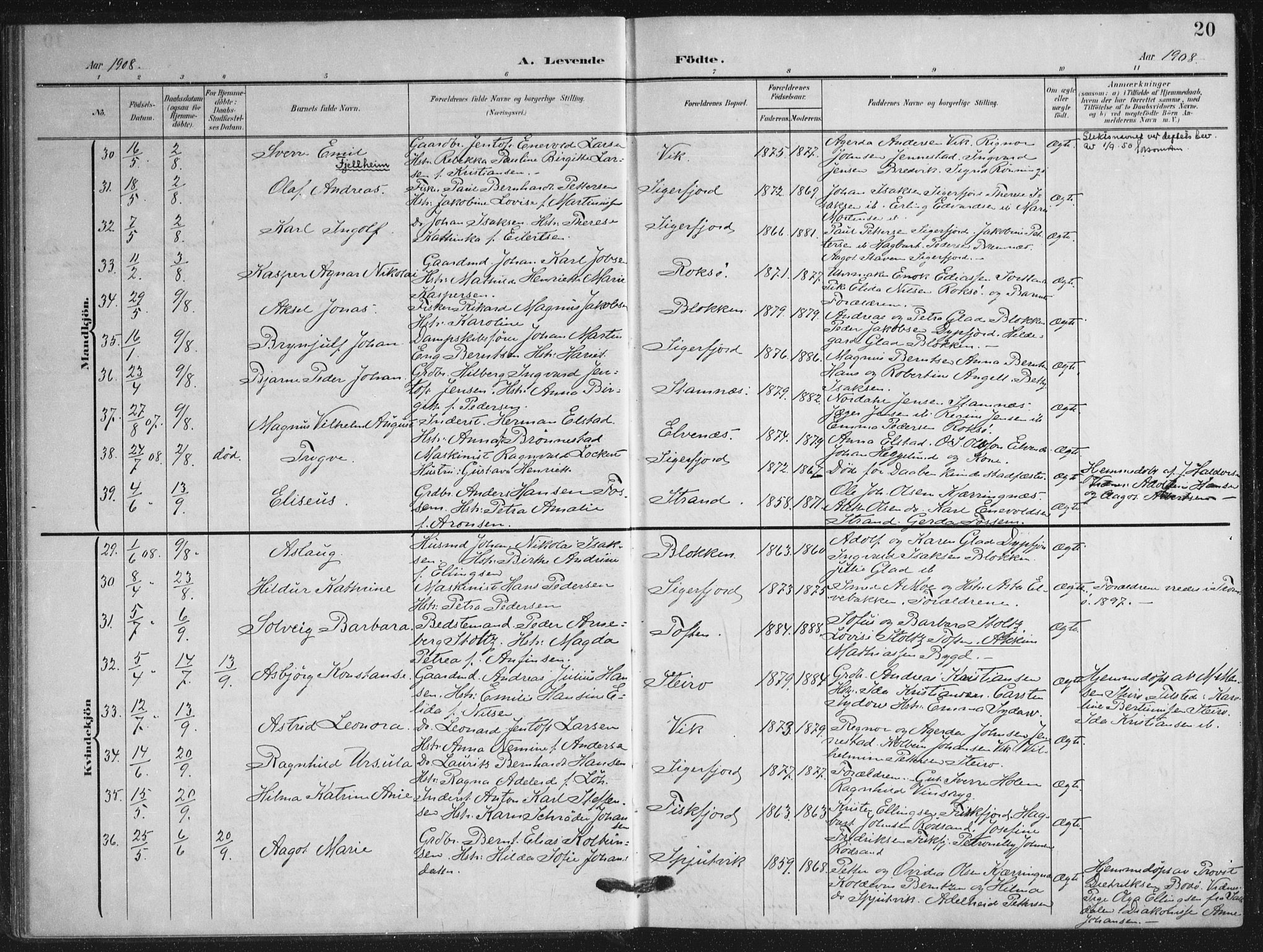 Ministerialprotokoller, klokkerbøker og fødselsregistre - Nordland, AV/SAT-A-1459/895/L1373: Parish register (official) no. 895A08, 1905-1915, p. 20