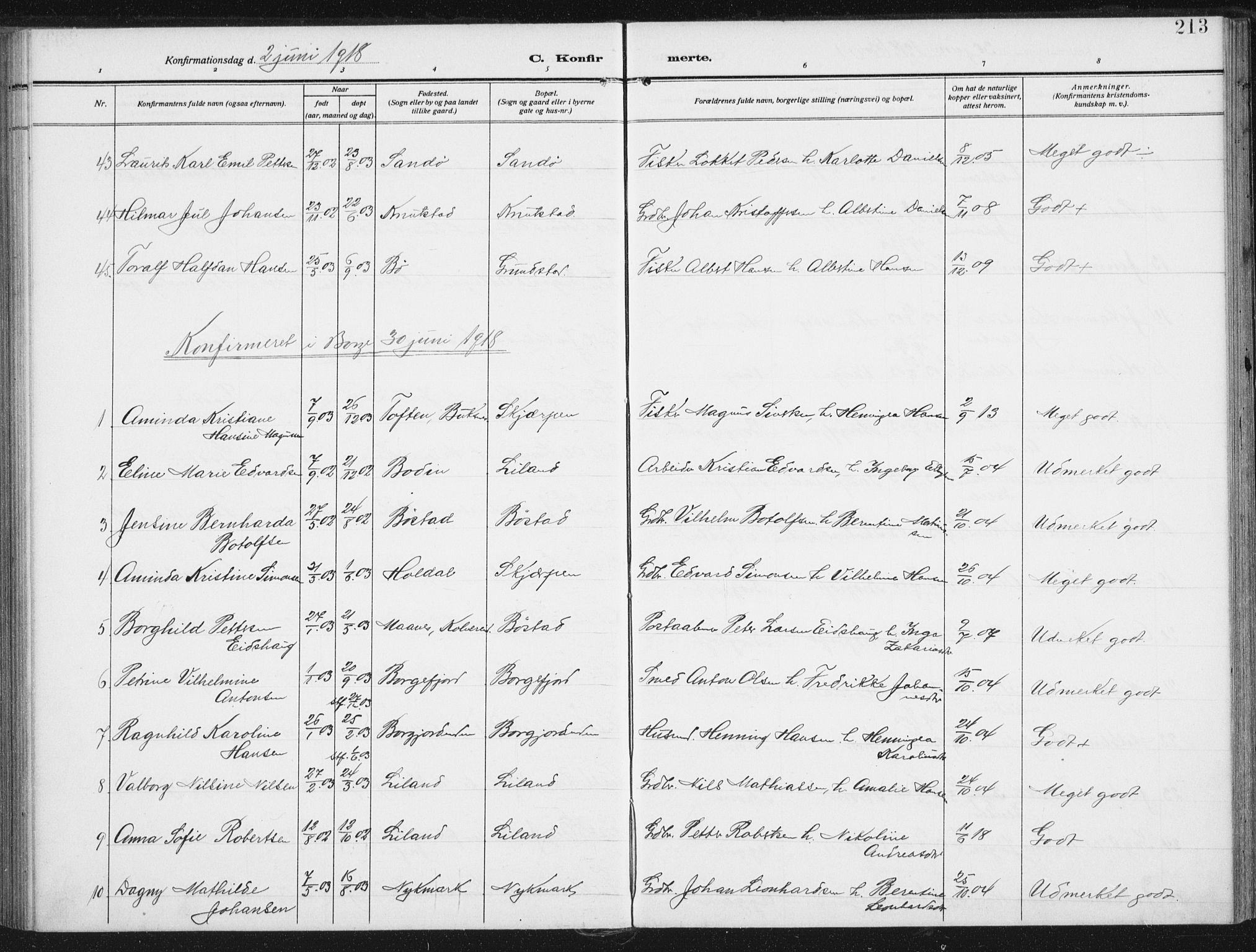 Ministerialprotokoller, klokkerbøker og fødselsregistre - Nordland, SAT/A-1459/880/L1135: Parish register (official) no. 880A09, 1908-1919, p. 213