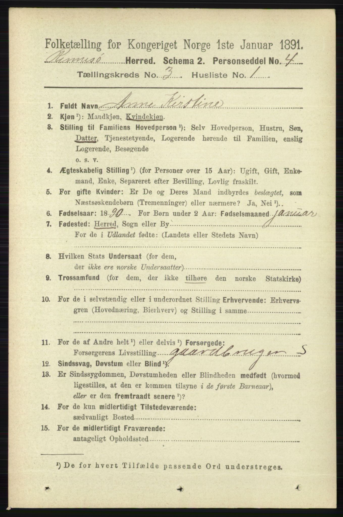 RA, 1891 census for 1142 Rennesøy, 1891, p. 992