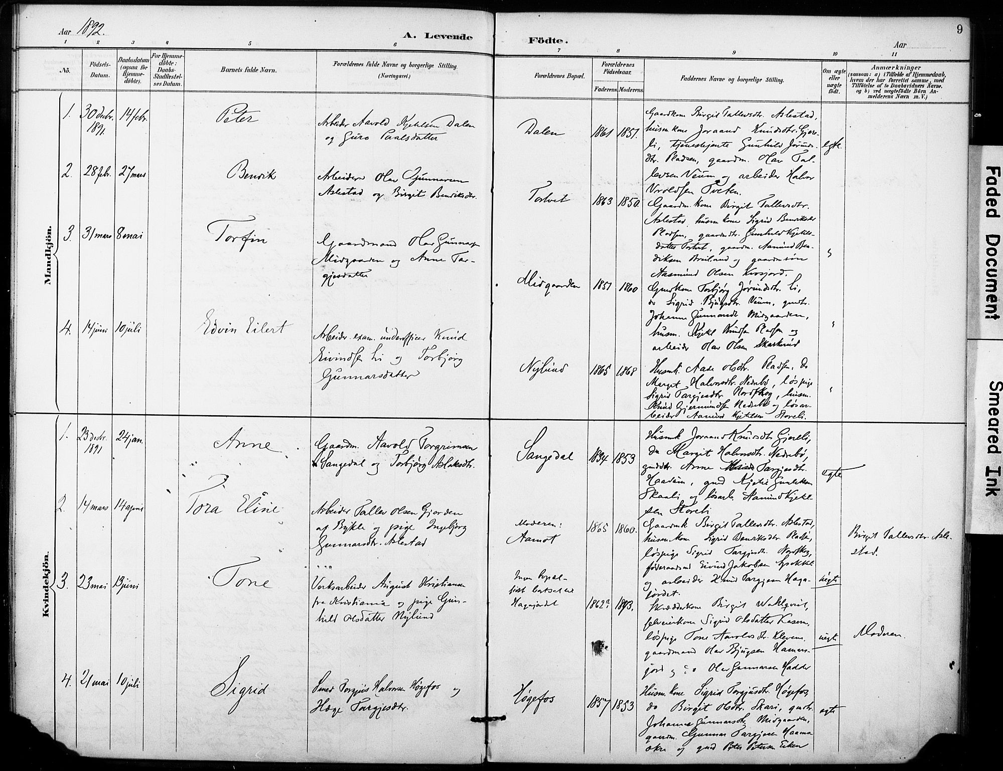 Fyresdal kirkebøker, SAKO/A-263/F/Fb/L0003: Parish register (official) no. II 3, 1887-1903, p. 9